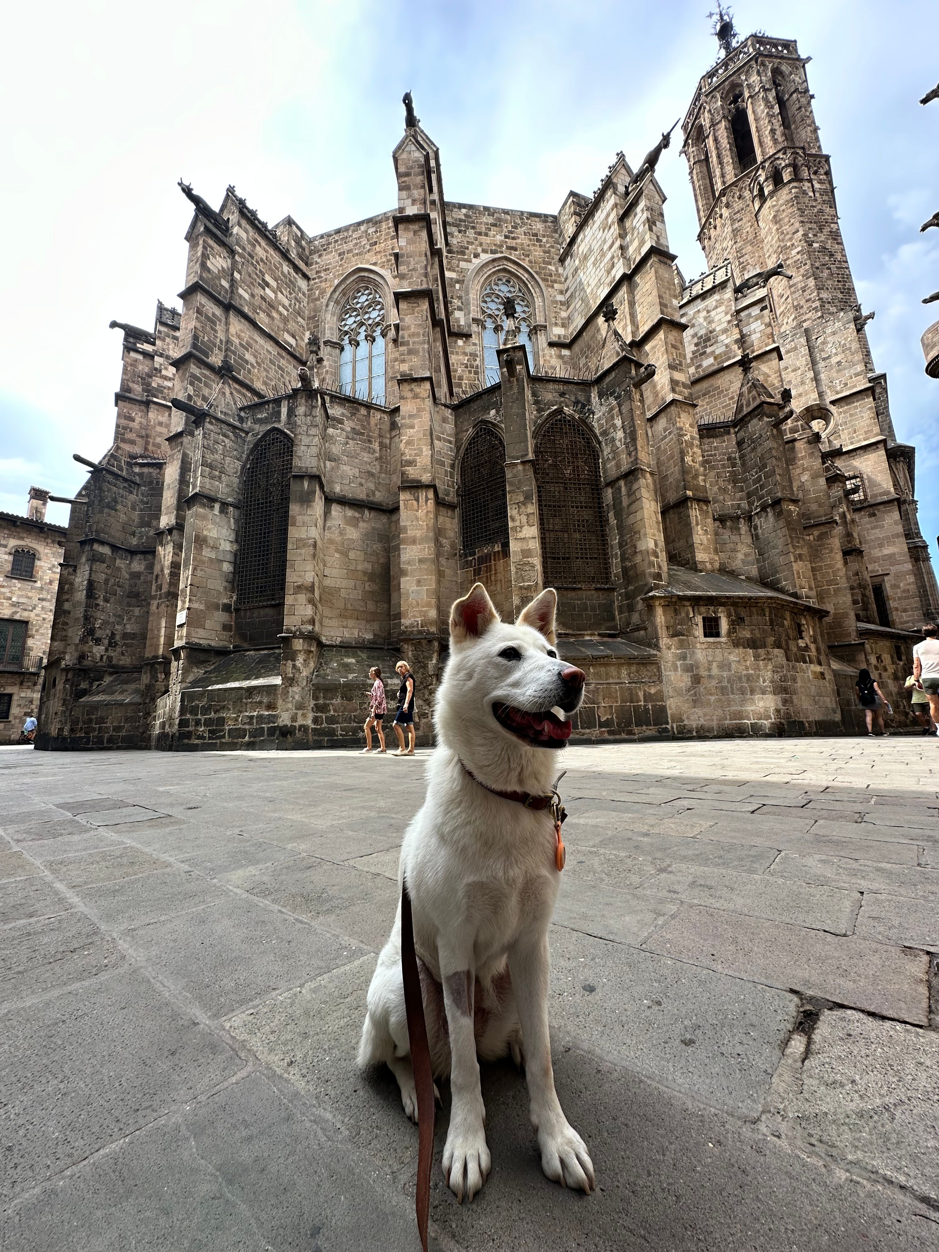 Djoy - La Rambla, Barcelona