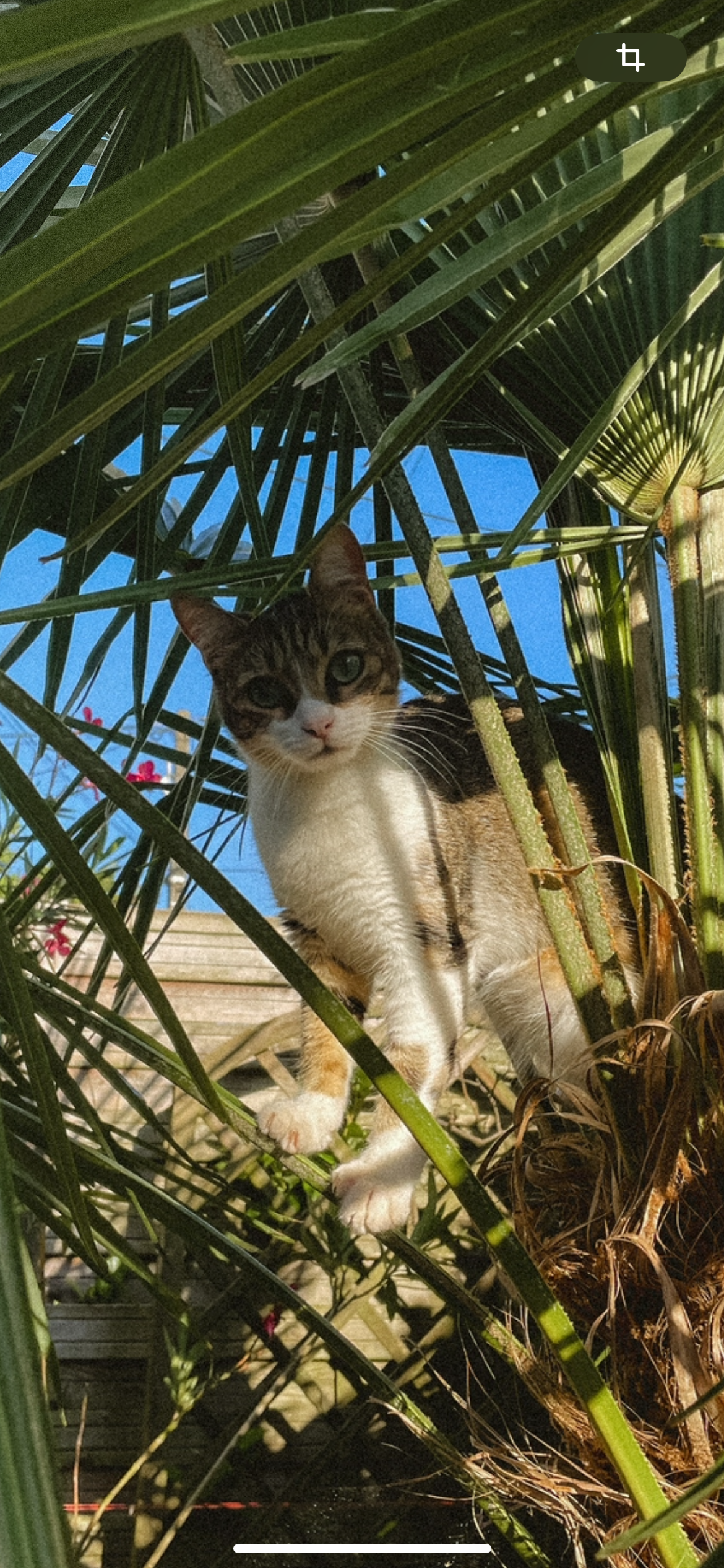 Uguette - Lotissement Les Mameaux D'aitana, Hendaye