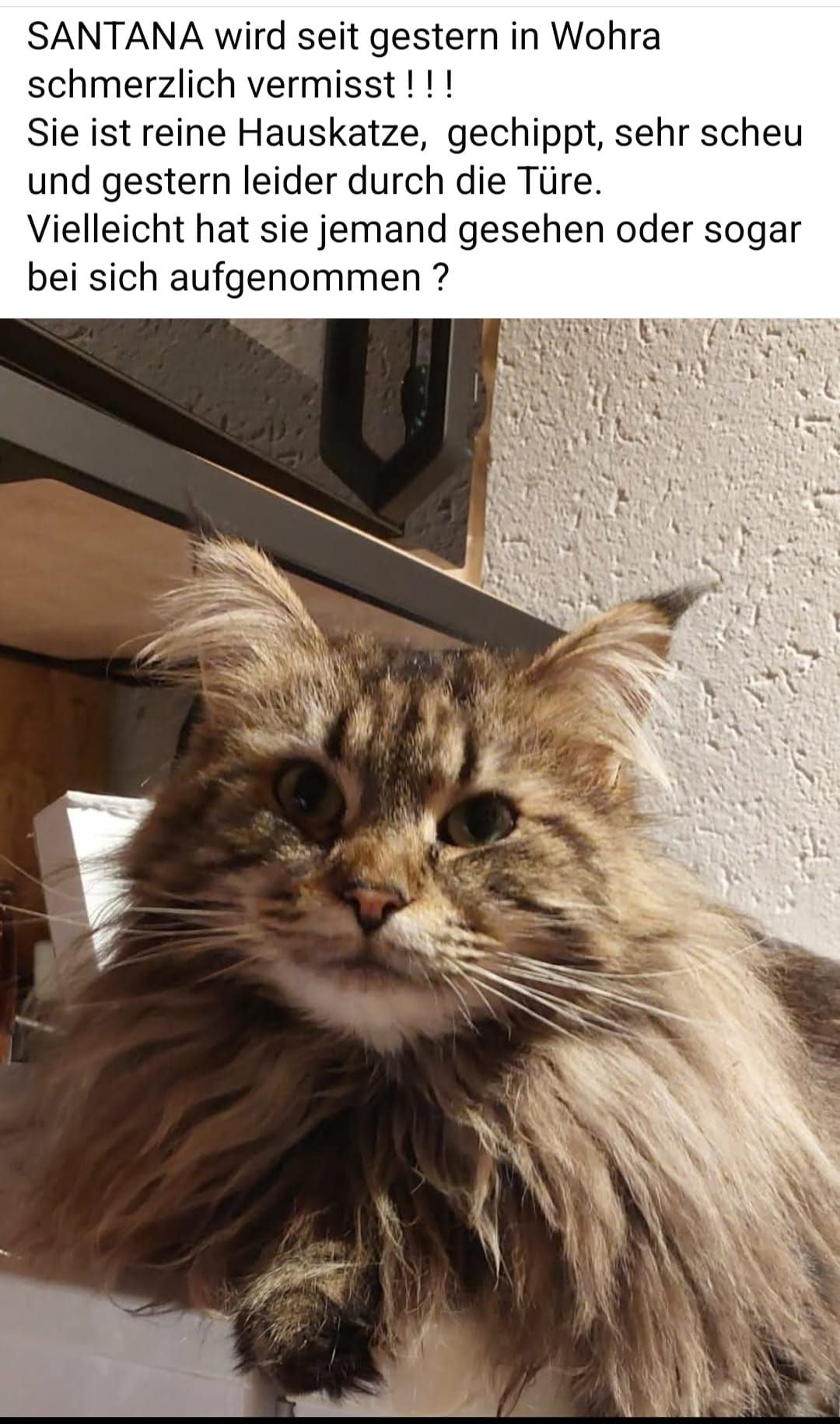 Santana  - Mühlweg, Wohratal