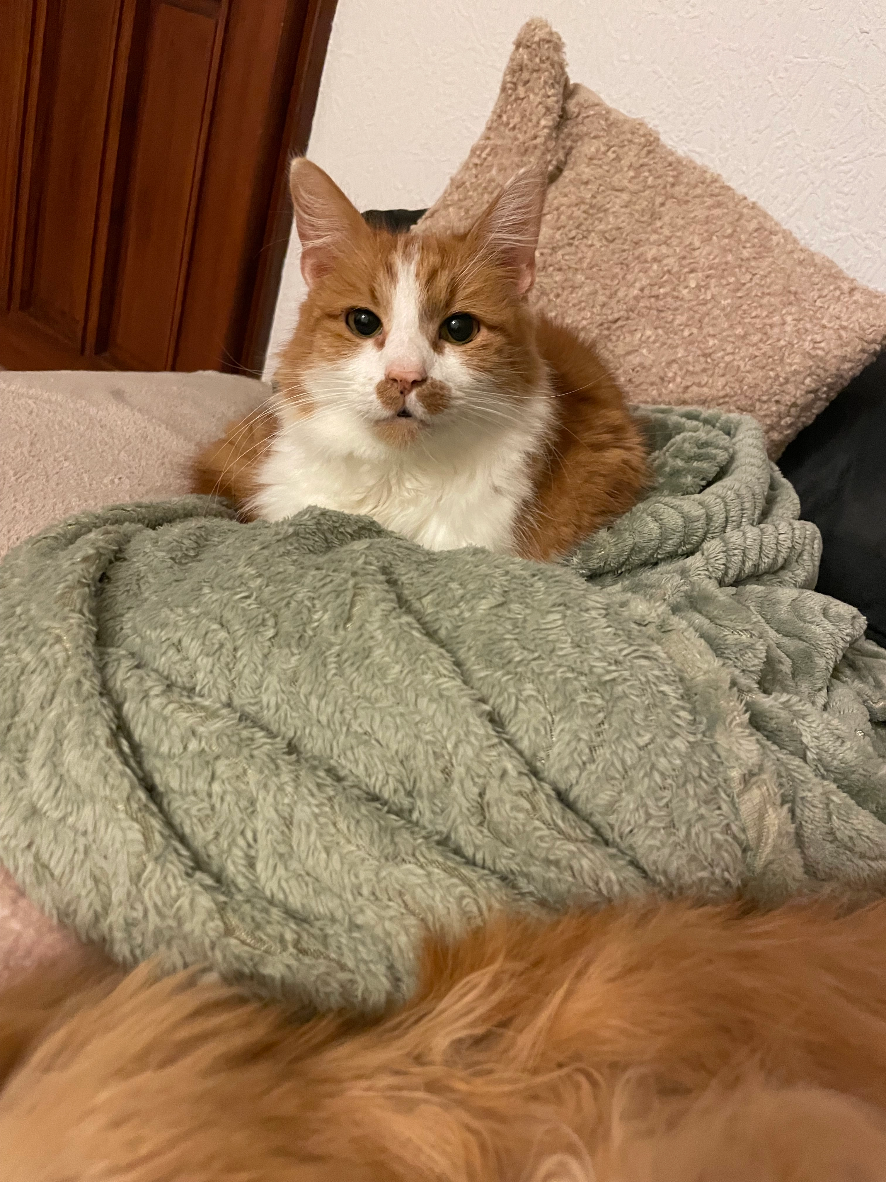 Yuki - Metzer Straße, Saarbrücken