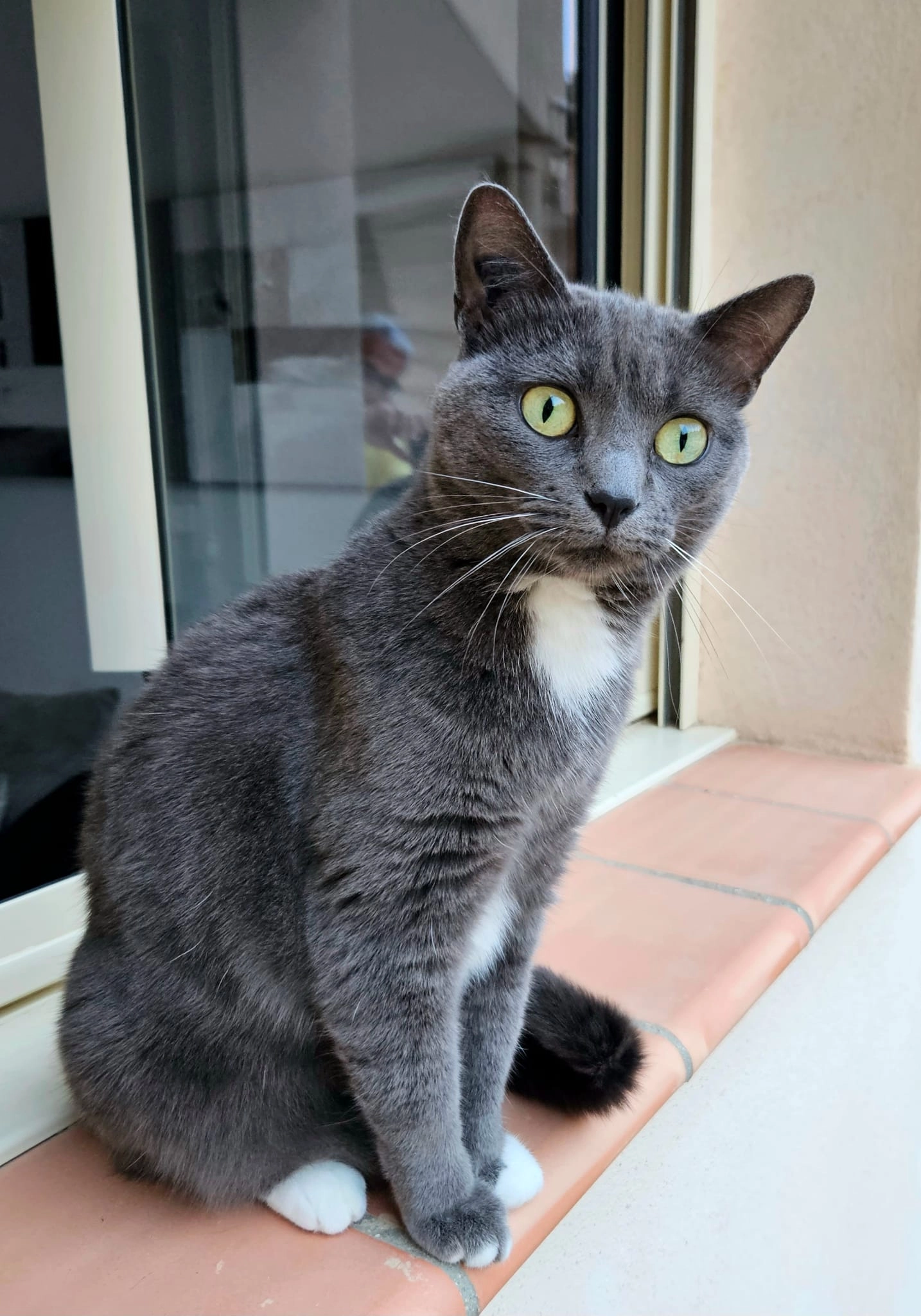 Nymphéa  retrouvée  - Impasse Pasteur, Chamalières