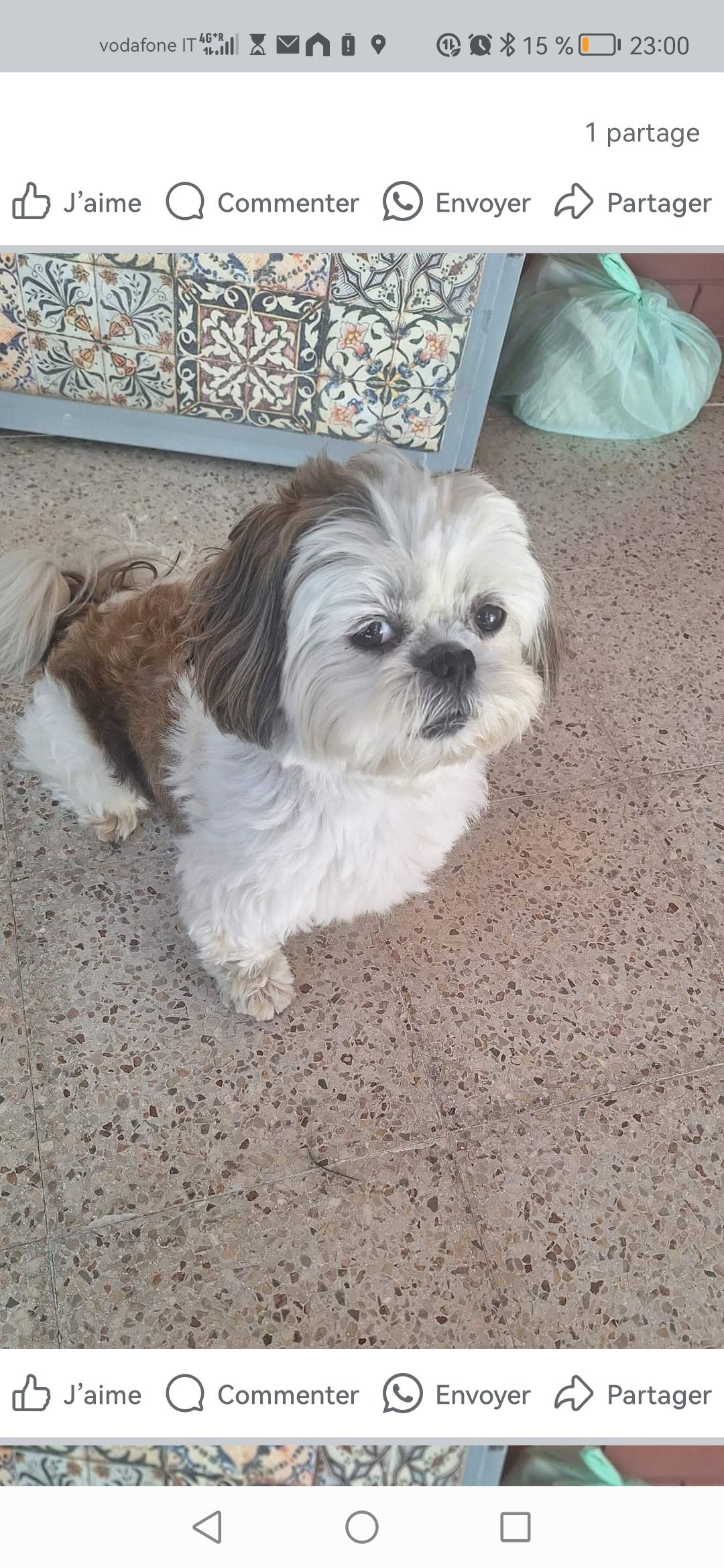 Oscar - Via Marguglio, Villarosa