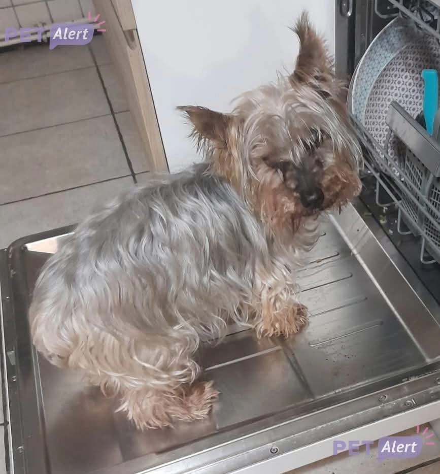 Doucky - Place De La Mairie, Aoste