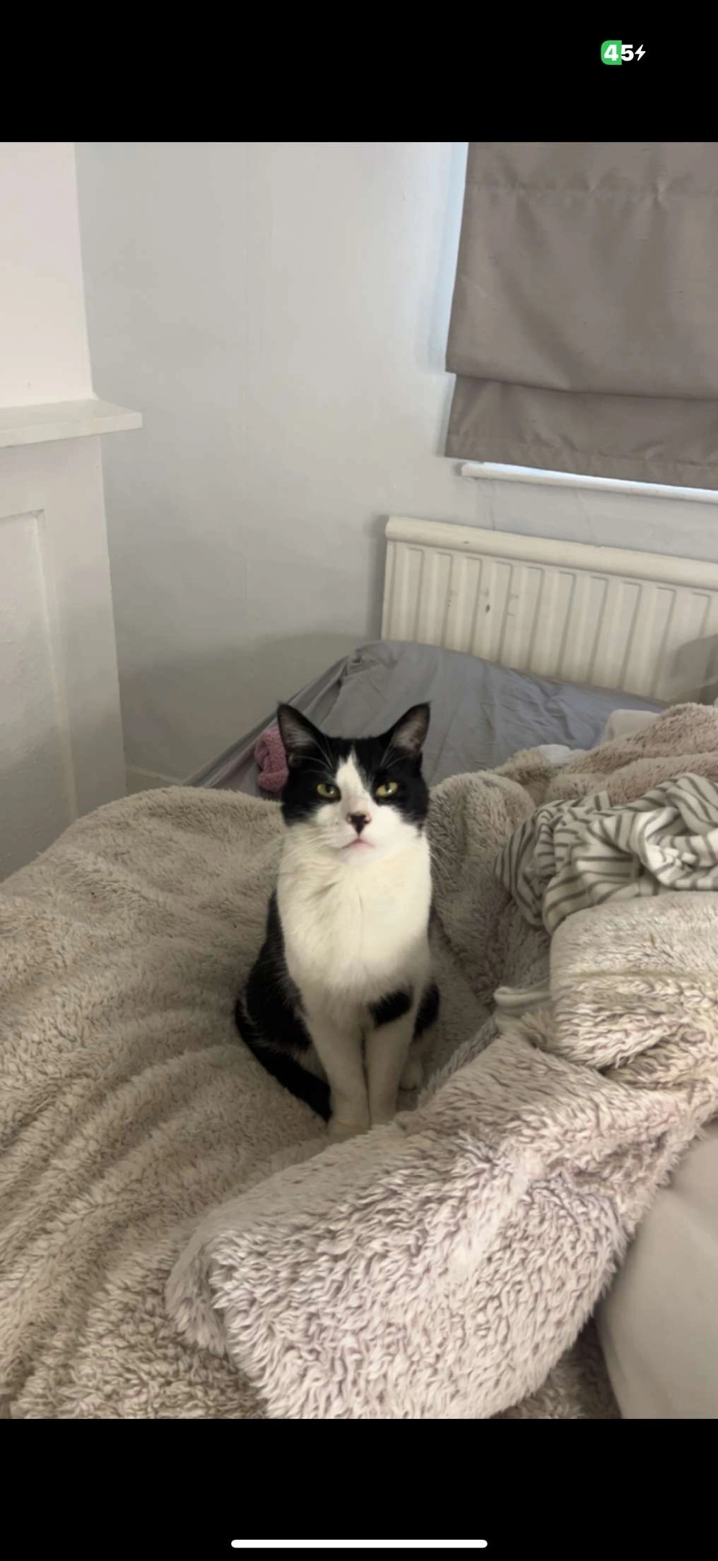 Baxter - B49 5, Alcester