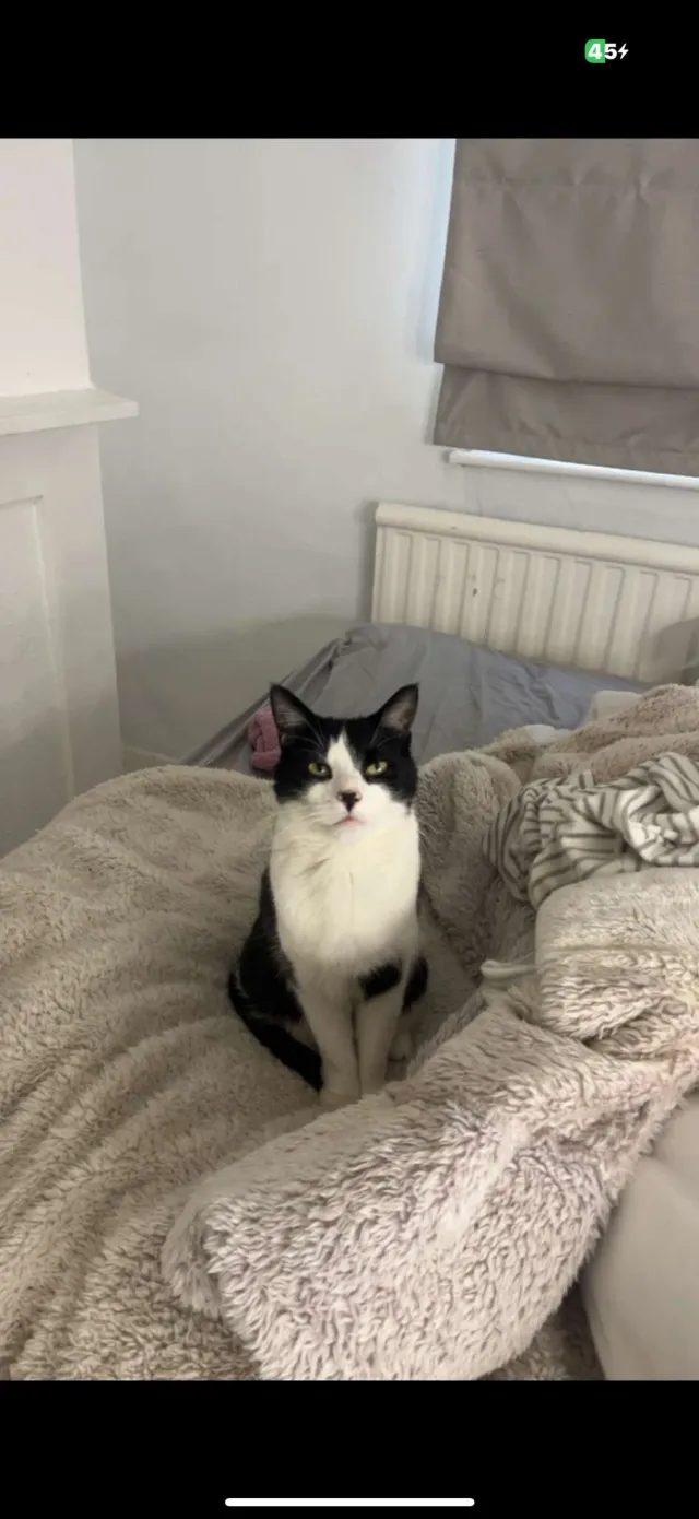 Baxter - B49 5, Alcester
