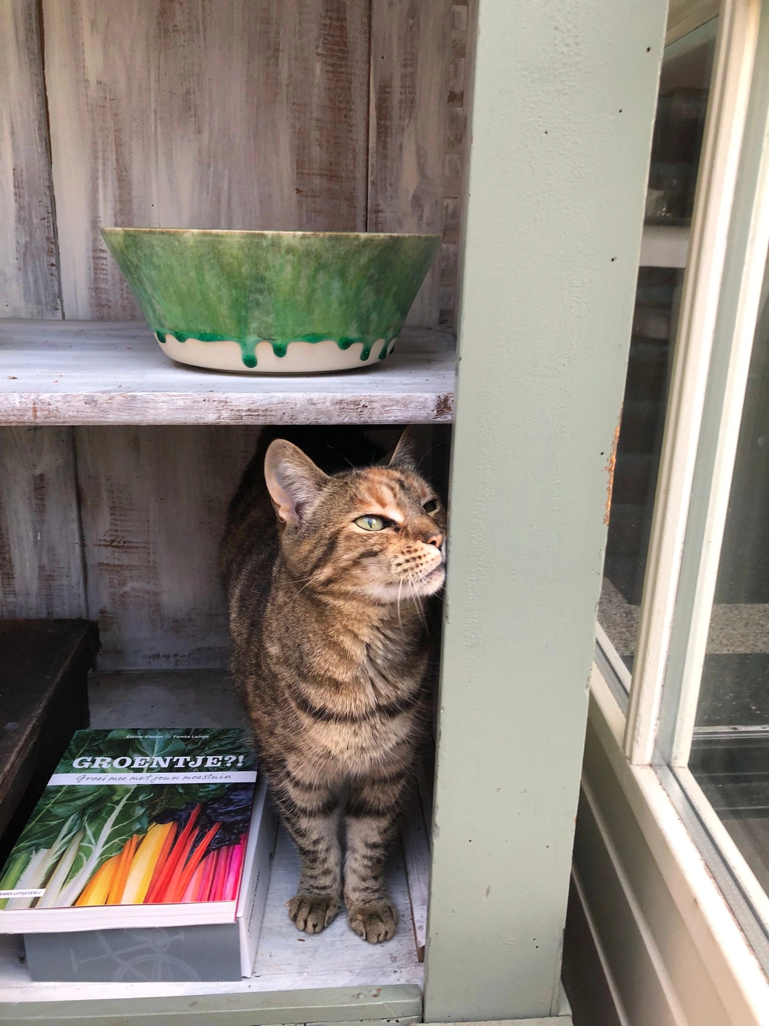 Miep - Langeweg 91, Overijse