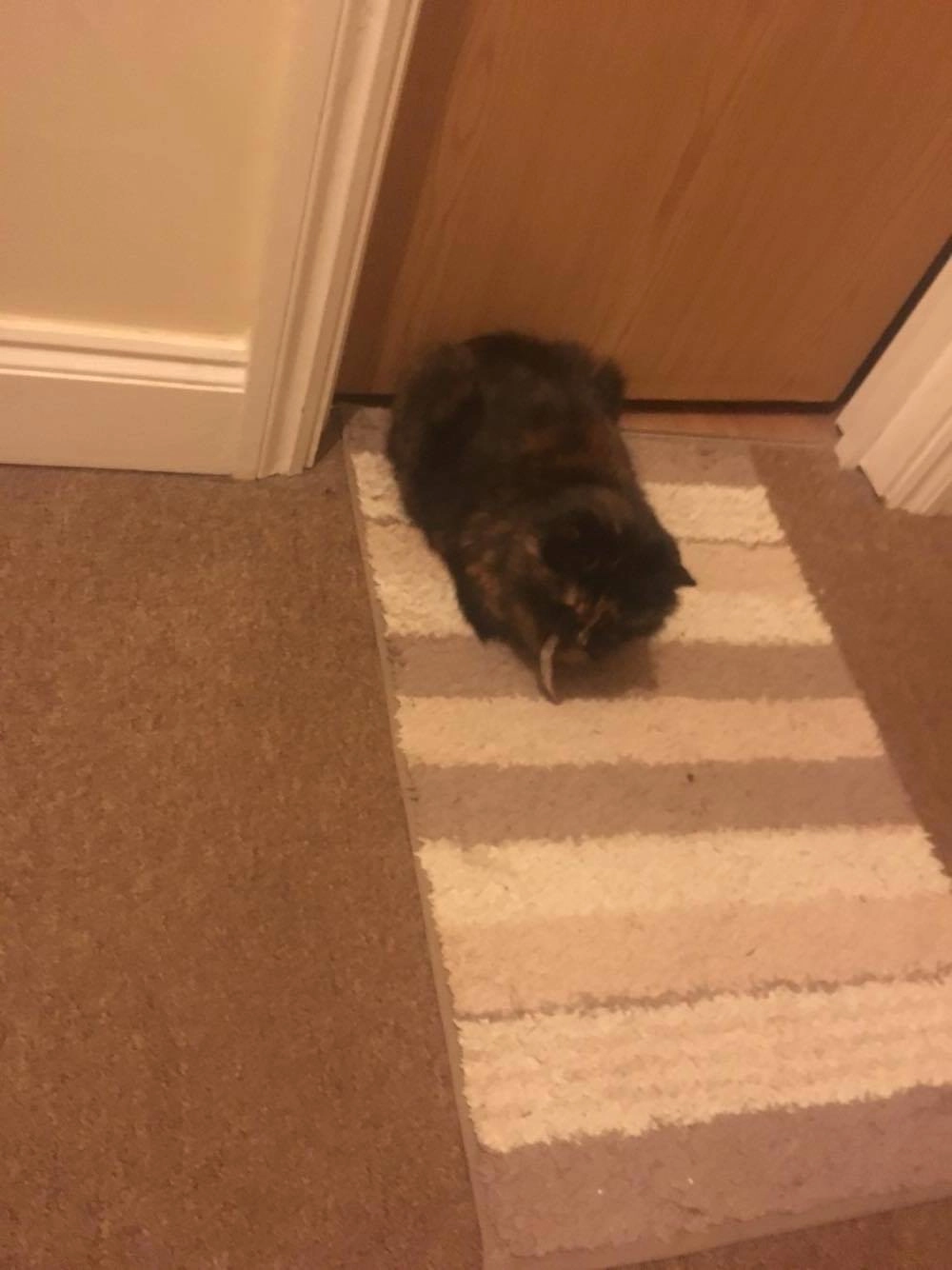 Baby - Surrey Road, Margate