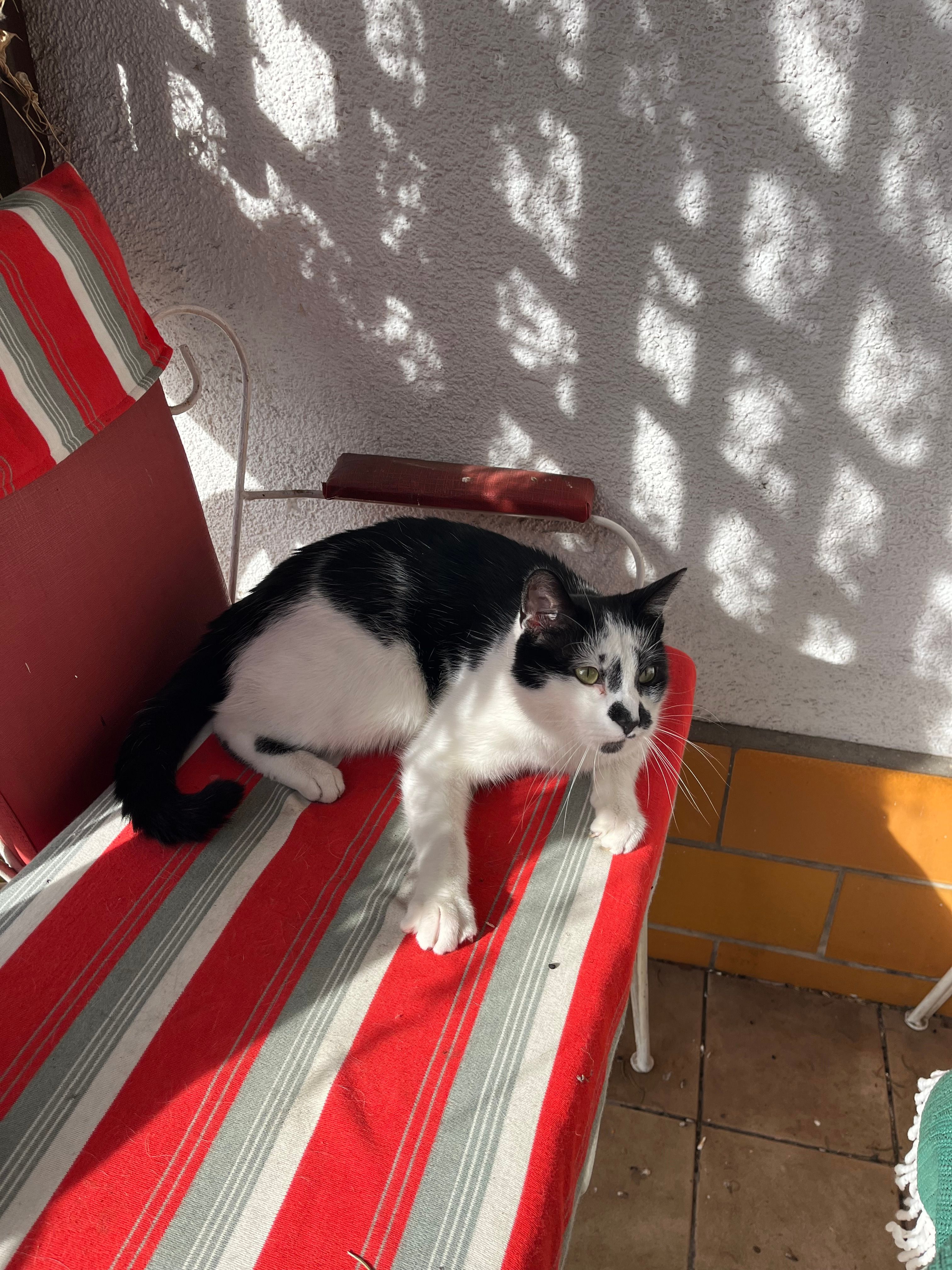 Pepe - Kirchgasse, Uhlstädt-Kirchhasel