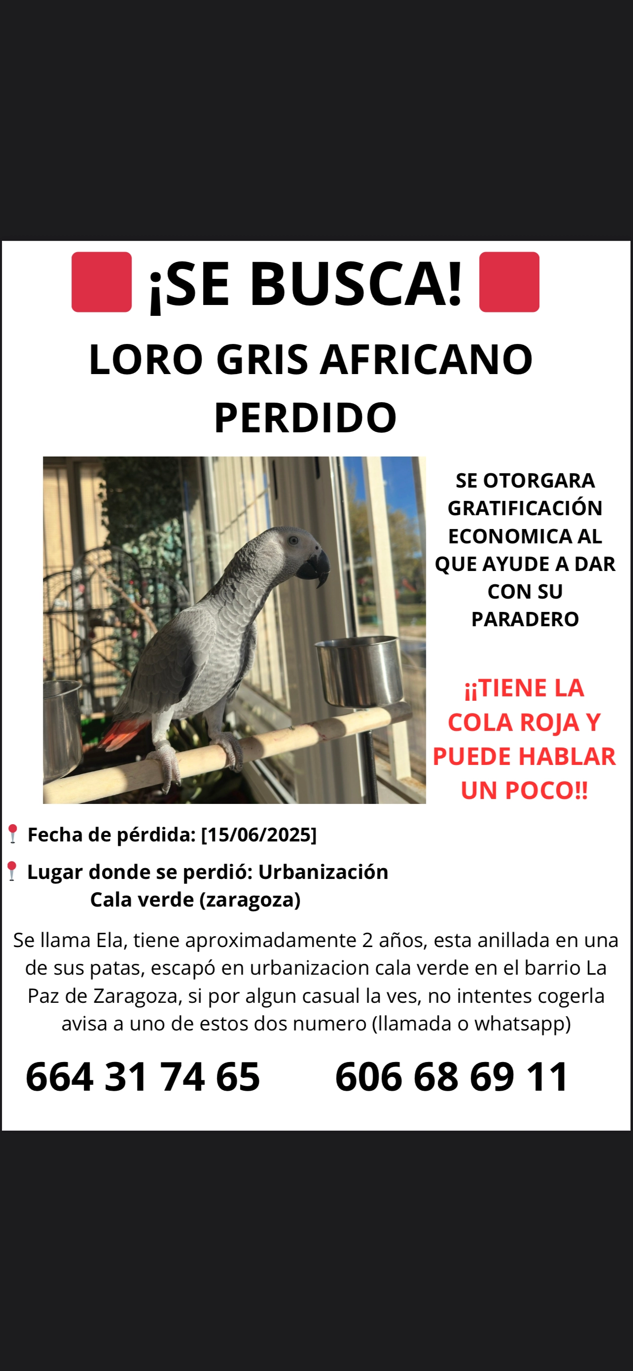 Ela  - Calle De Franco Y López, Zaragoza