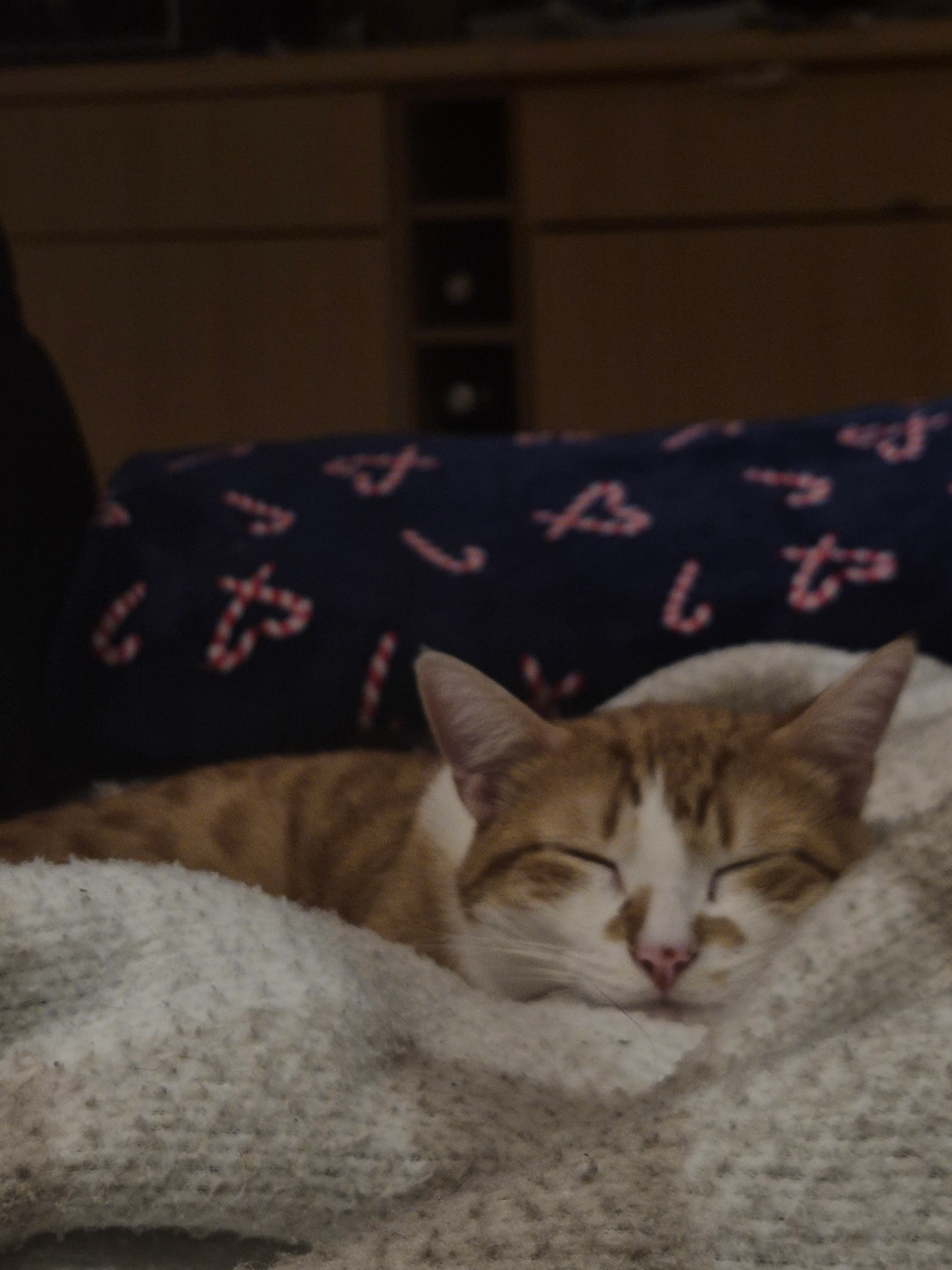 Voltaire - Rue de la Fontaine Chaude, Dax