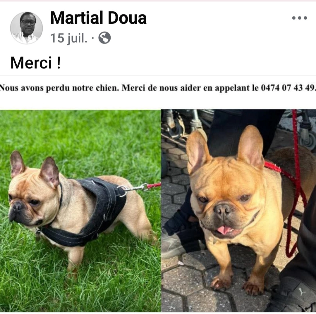 Darwin  - Avenue des Eglantines 8, Beyne-Heusay