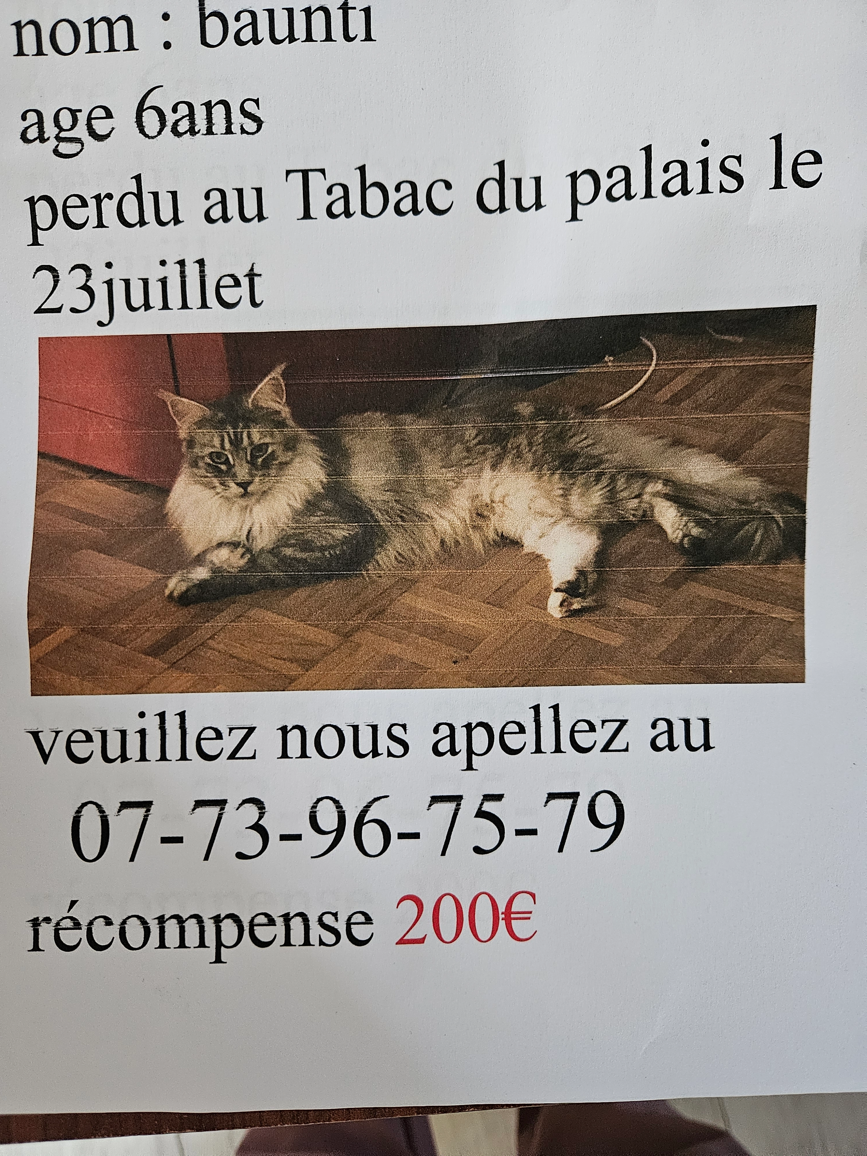 Banti - Boulevard Camille Delthil, Moissac