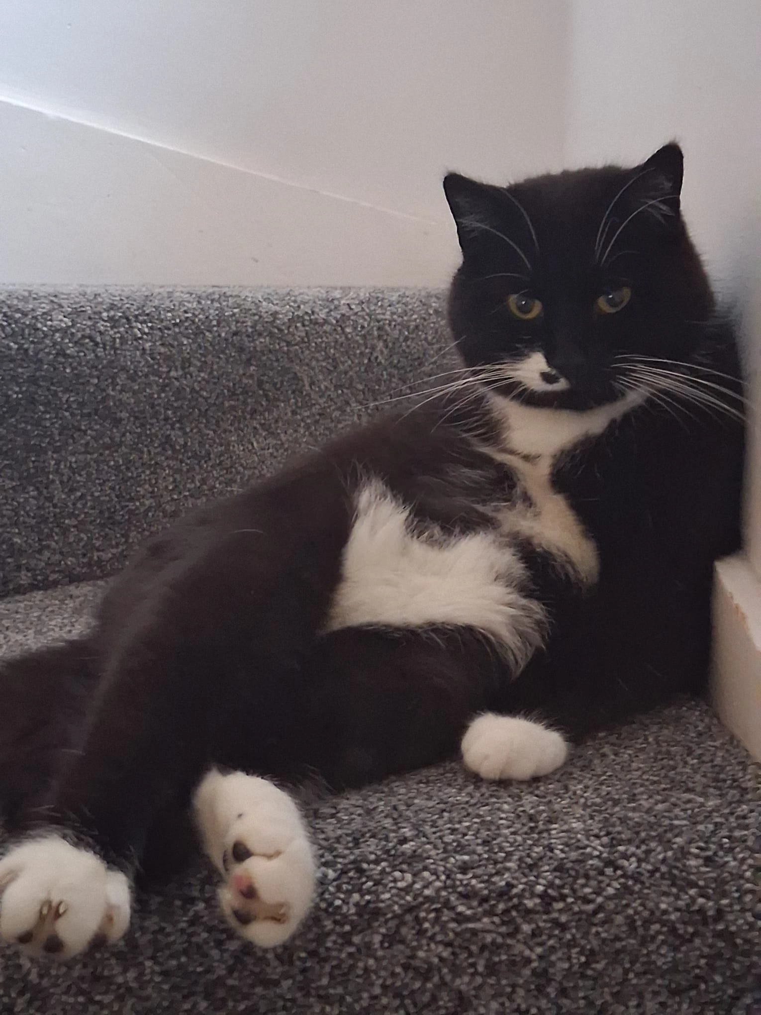 Boots - Ludford Close, Nottingham