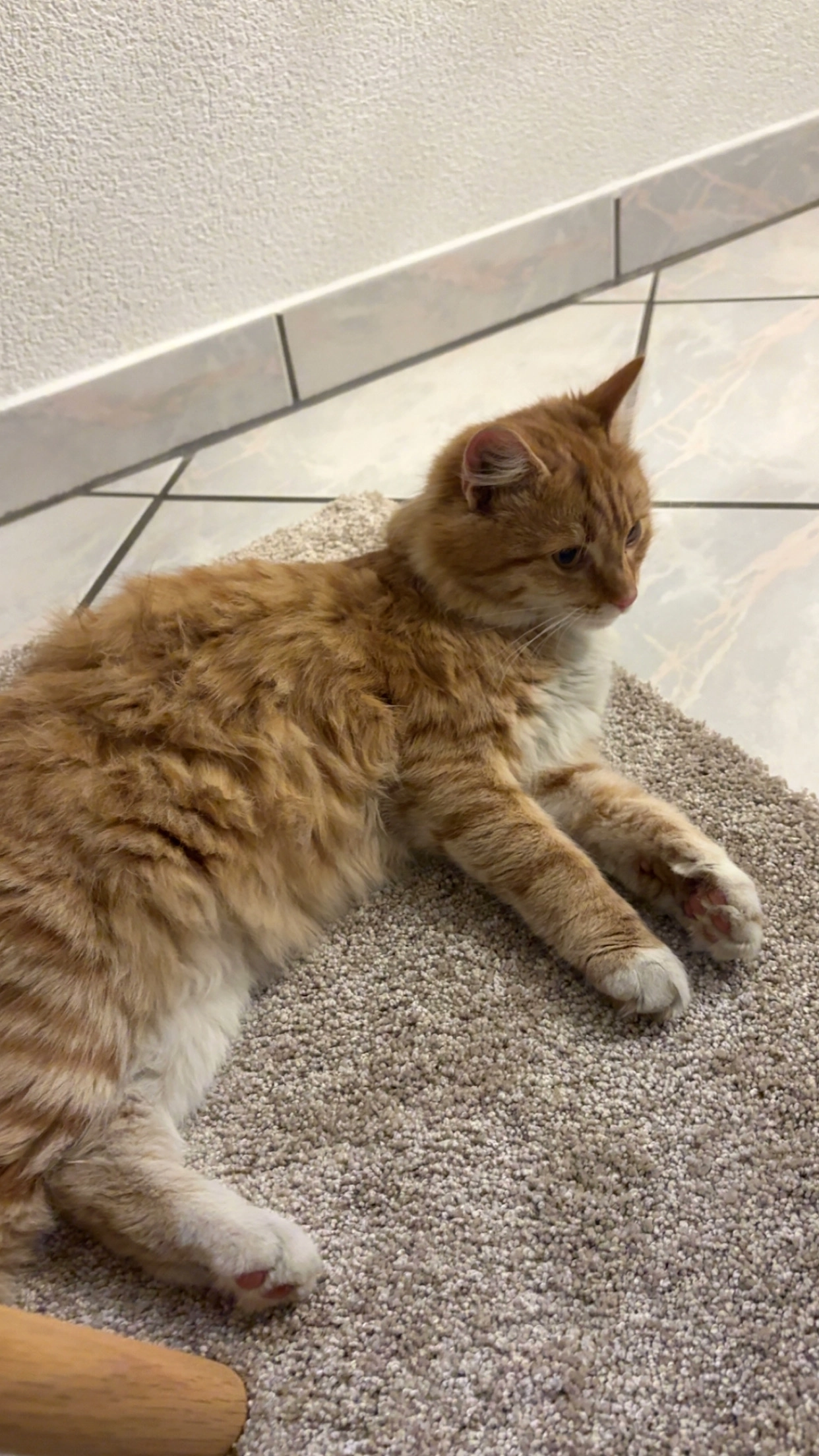 Shirin - Dornburggasse, Oberwart