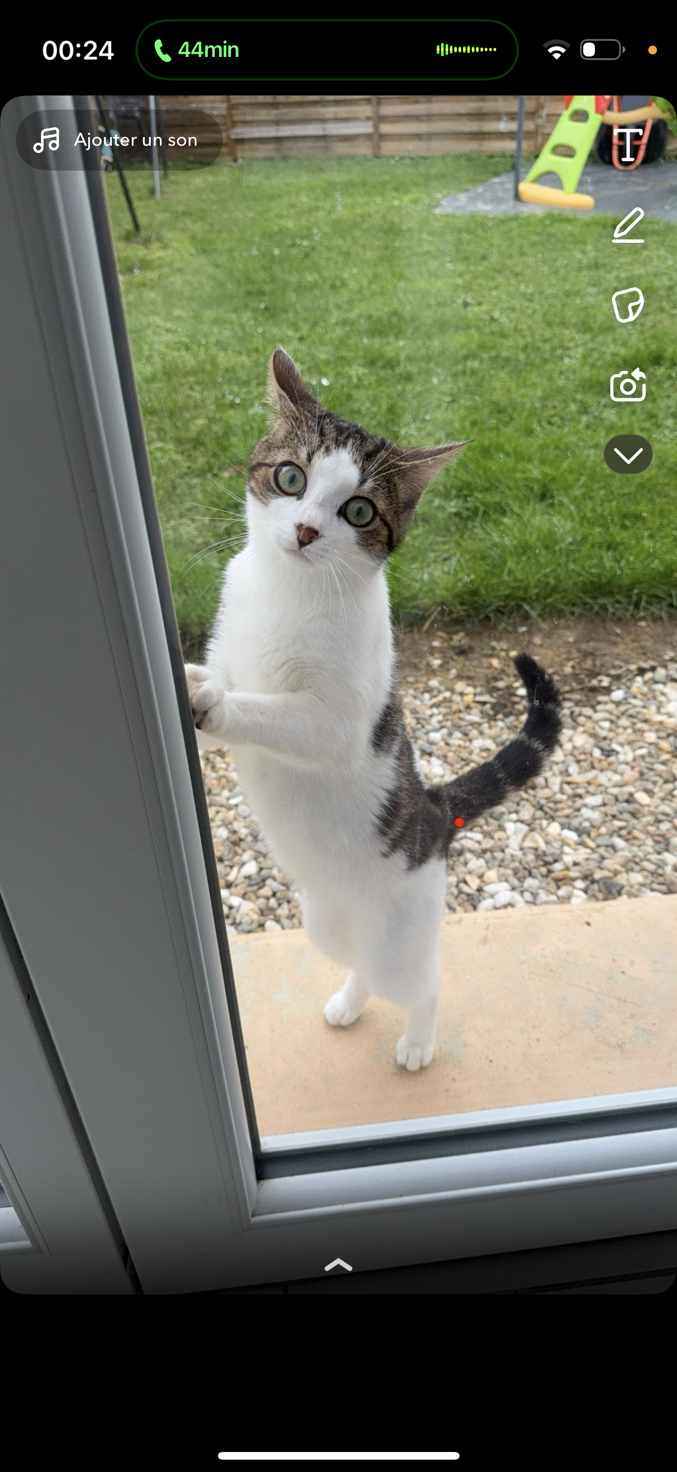 Doudou - 19 Rue Victor Baltard, Châteauroux