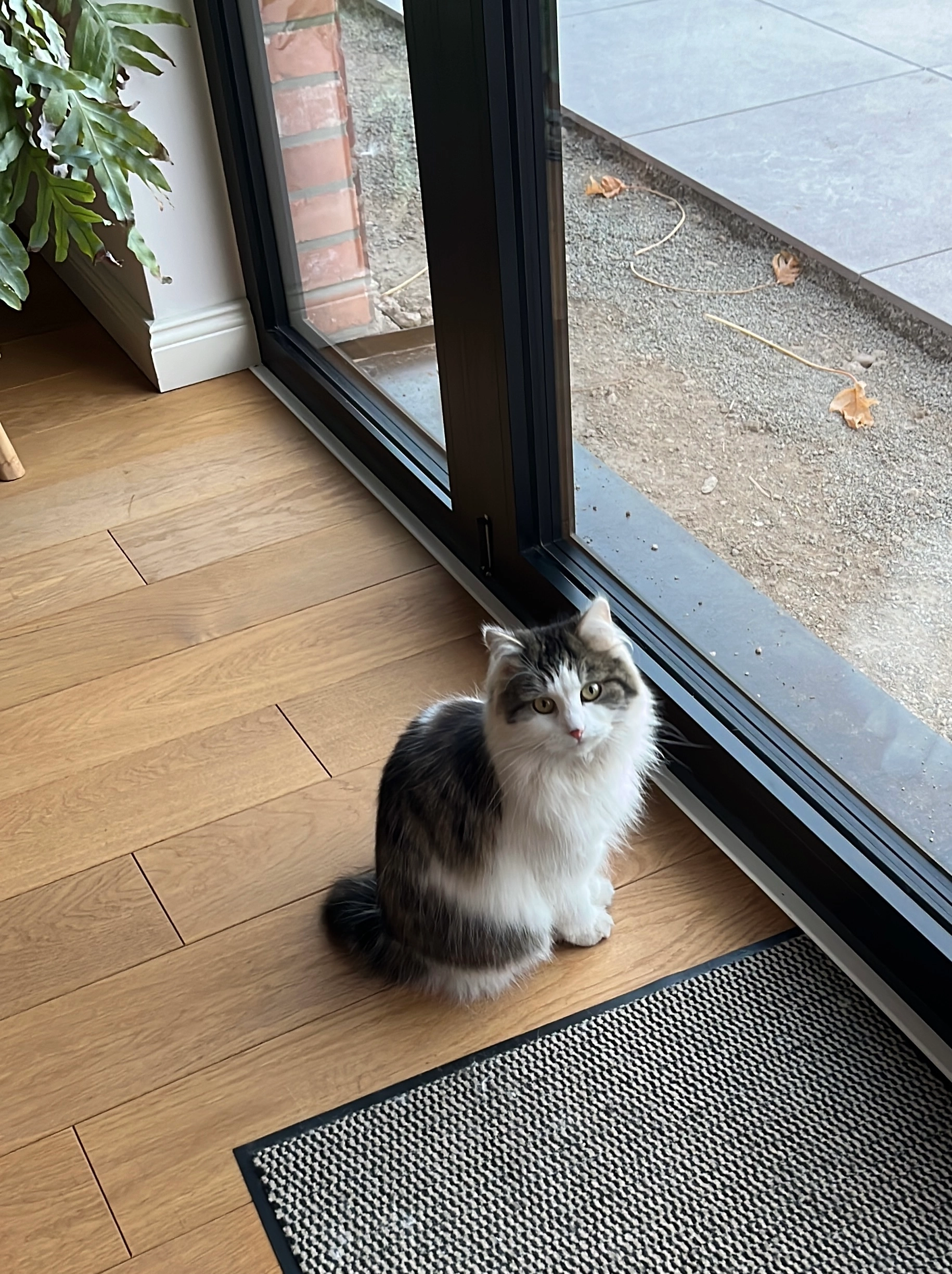 Lizzie - Lerchenstraße, Kirchlinteln