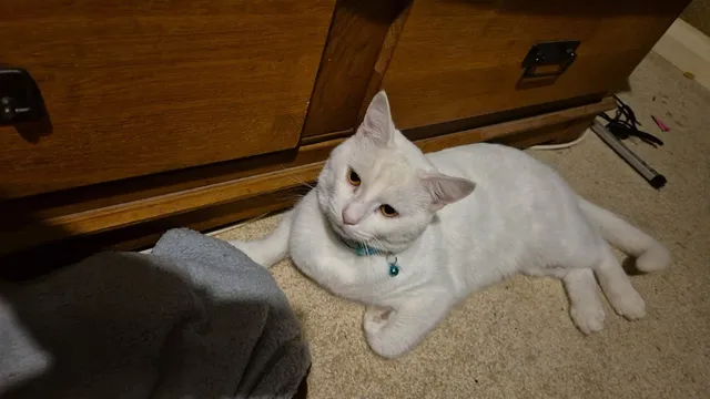Casper - LE2 6, Leicester
