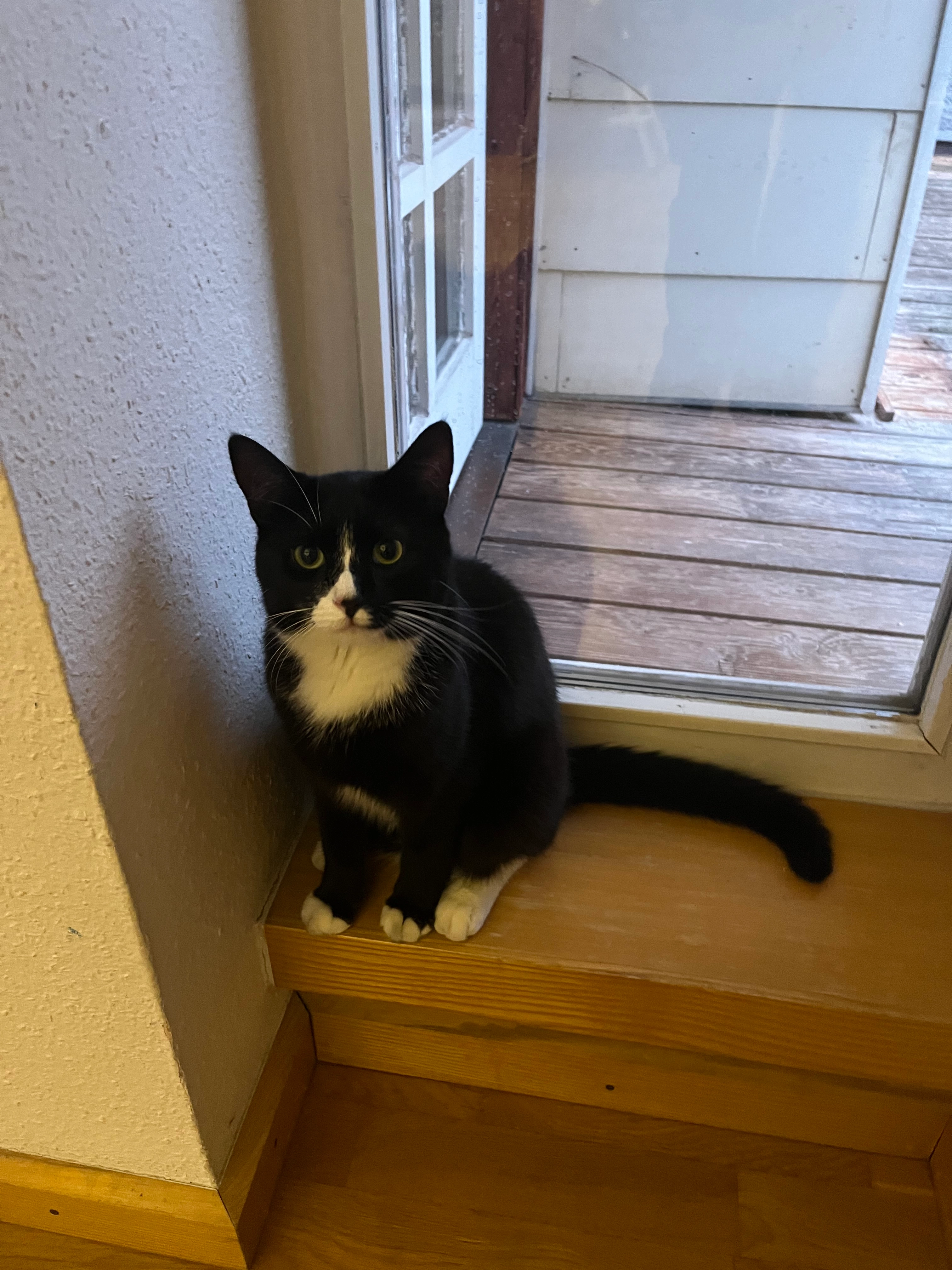 Fine - Eichlerstraße, Augsburg