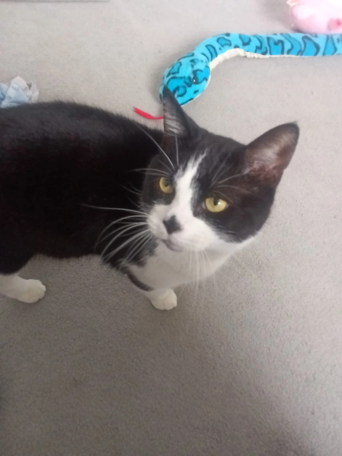 Nugget - LE4 0, Leicester