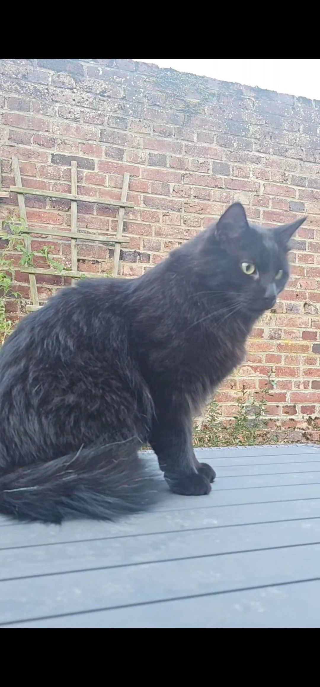 Sasuke  - 16 Rue Louis Ganiage, Maignelay-Montigny