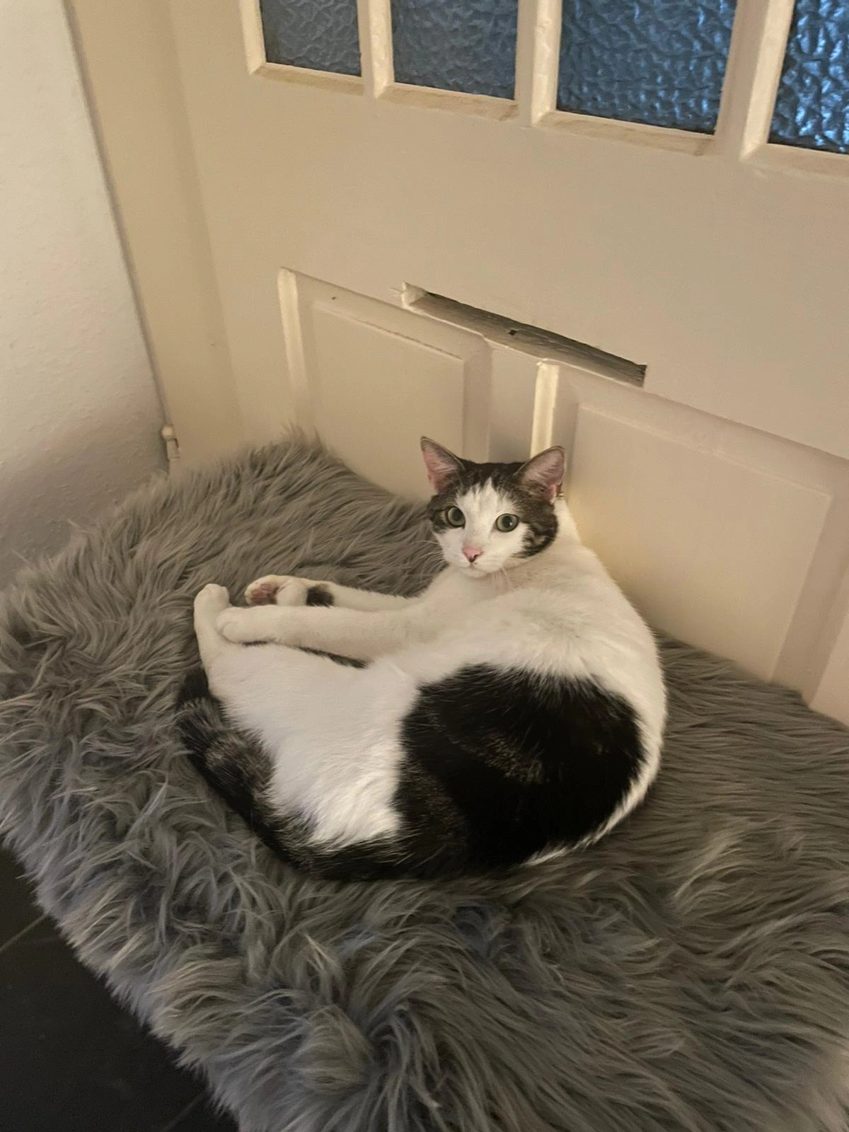 Rocky - Finkenweg, Schmölln