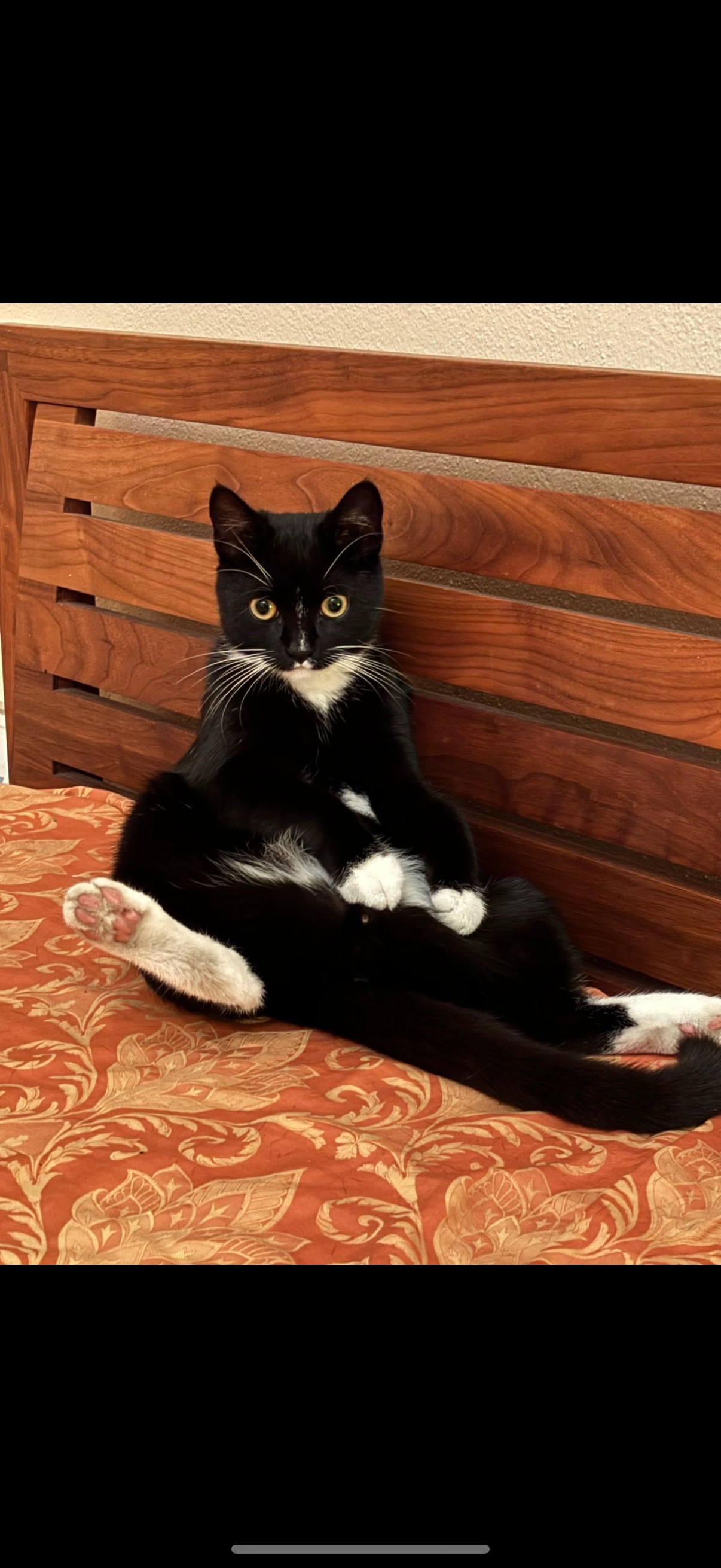 Mabel - Nettelbeckstraße 18, Kiel