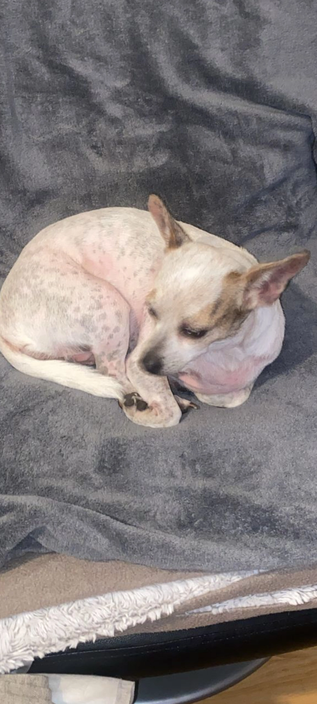 Zuzu - Sophienstraße, München