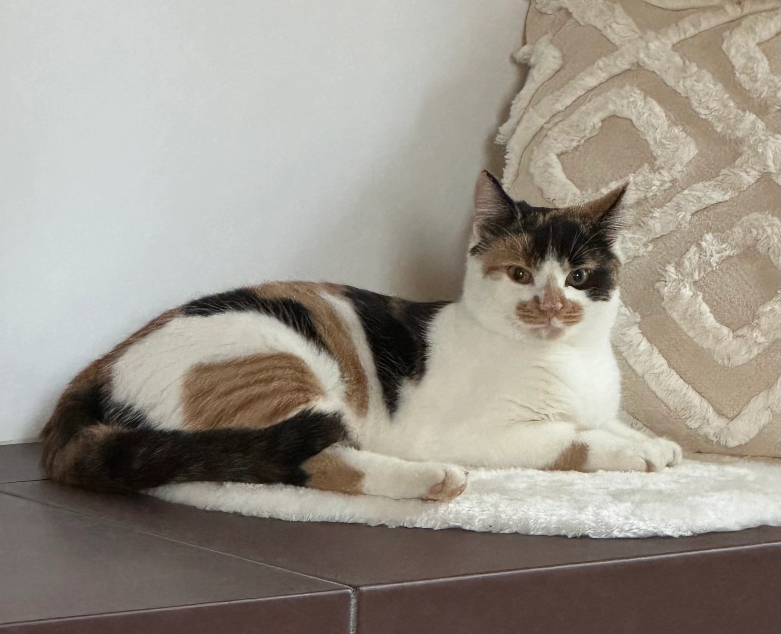 Mira - Wittenberger Straße 70F, Bad Düben