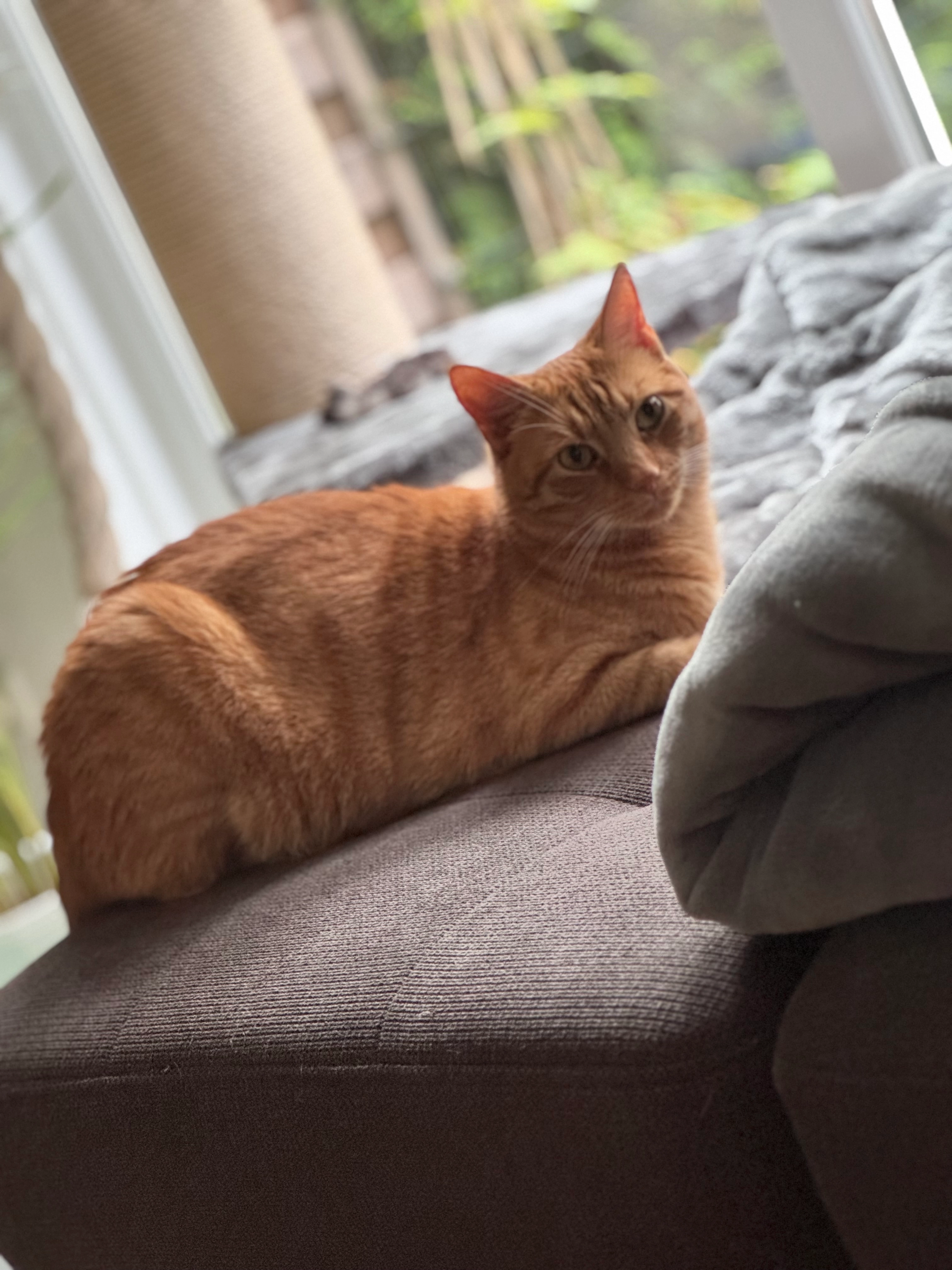 Oskar  - Meyerbeerstraße, Mühlenbecker Land