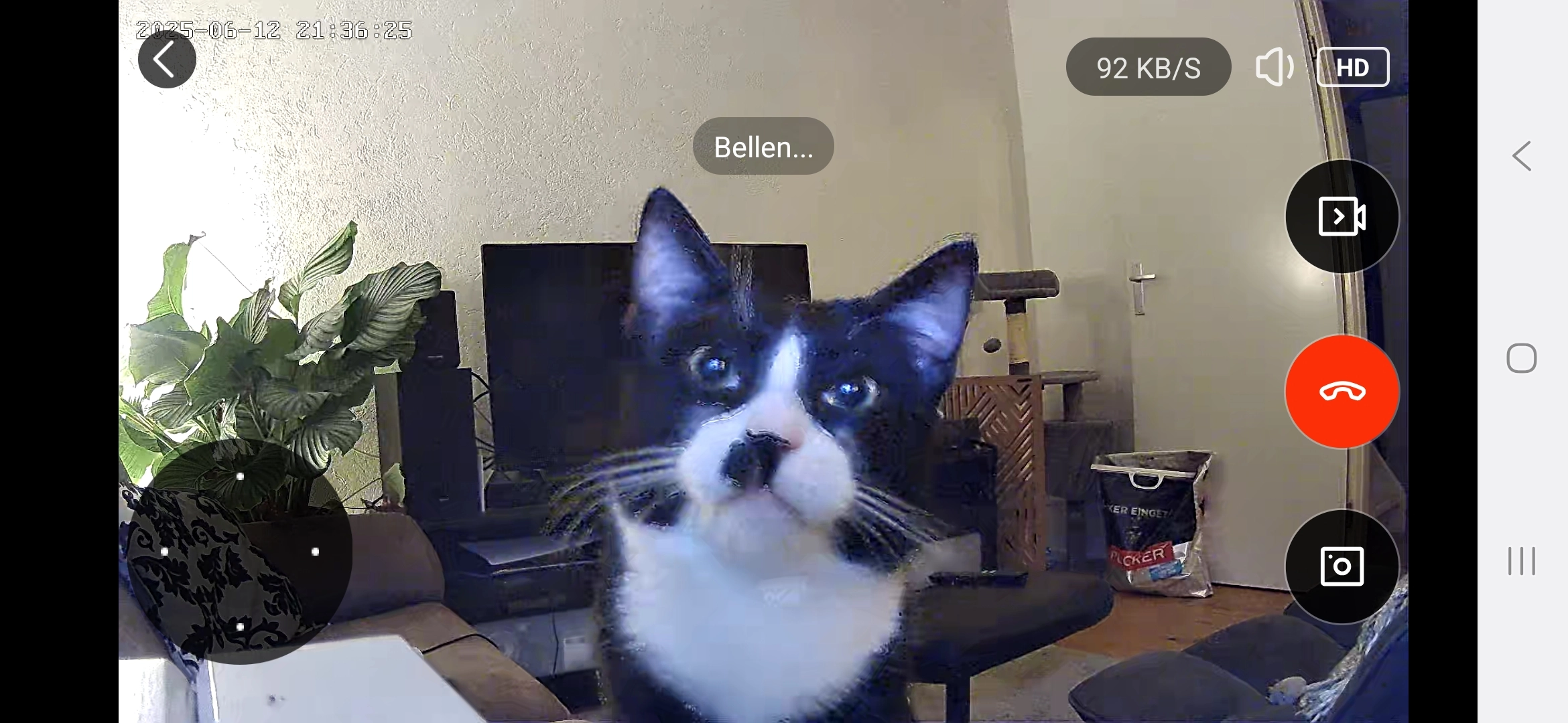 Ranger - Ranonkelstraat, Winschoten