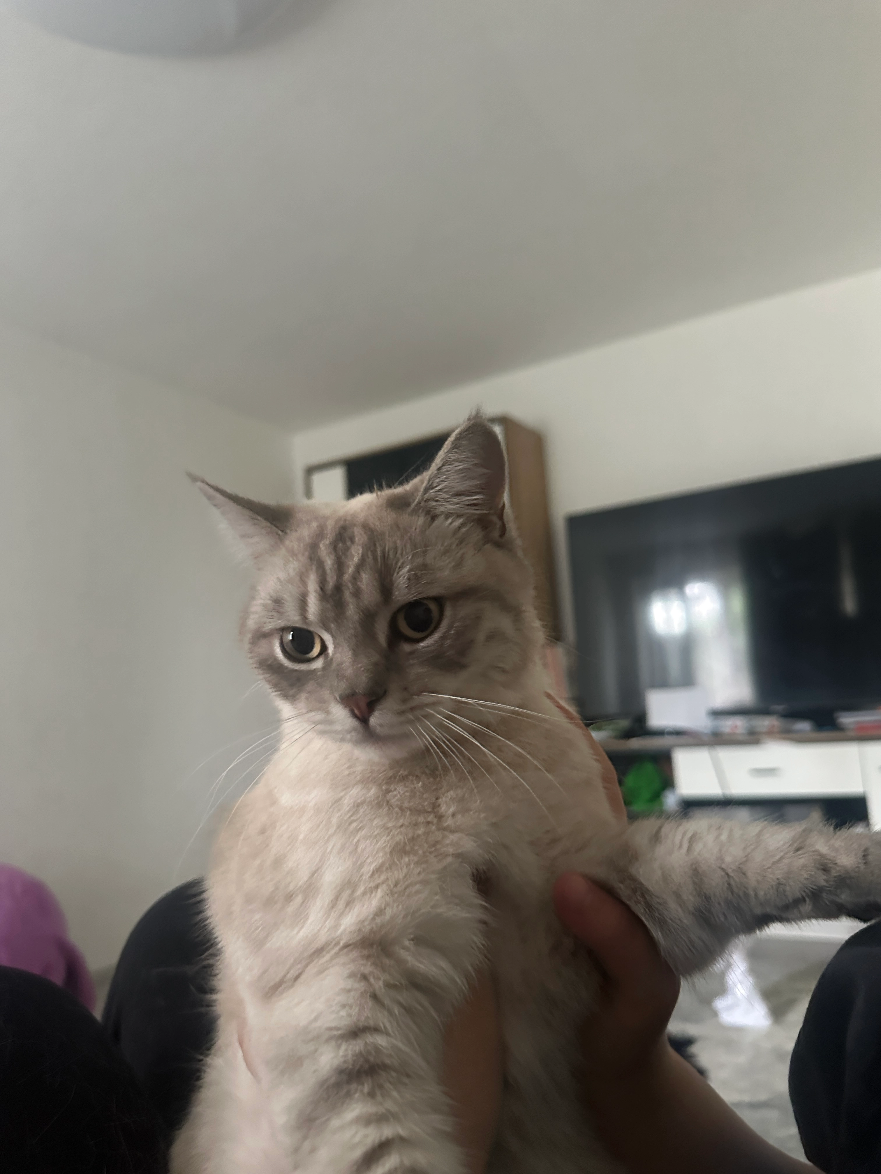 Motschi - Mühldorfer Straße, Forstinning