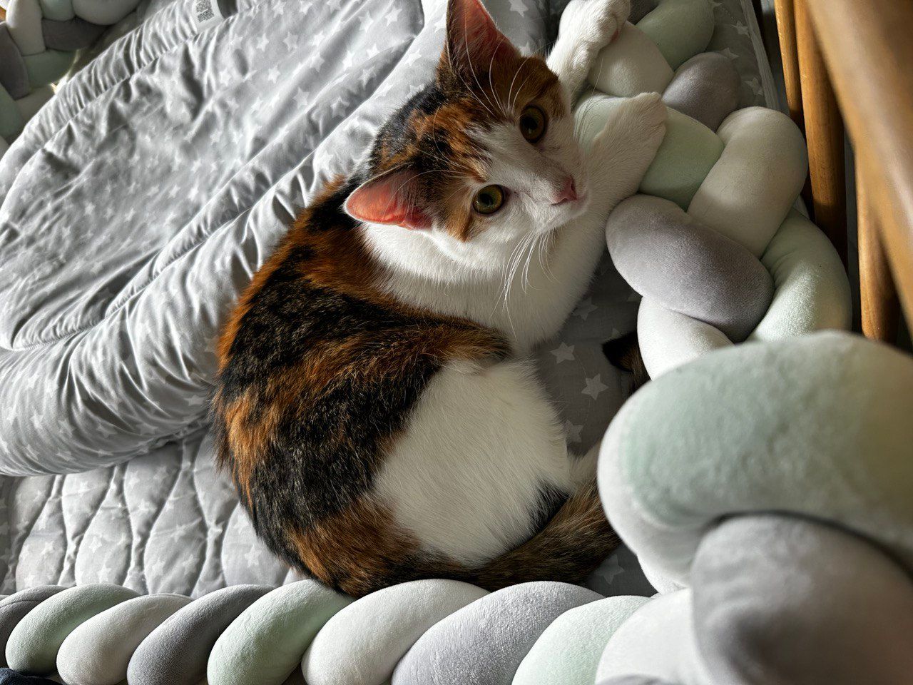 Lina - Werbelliner Straße, Eberswalde