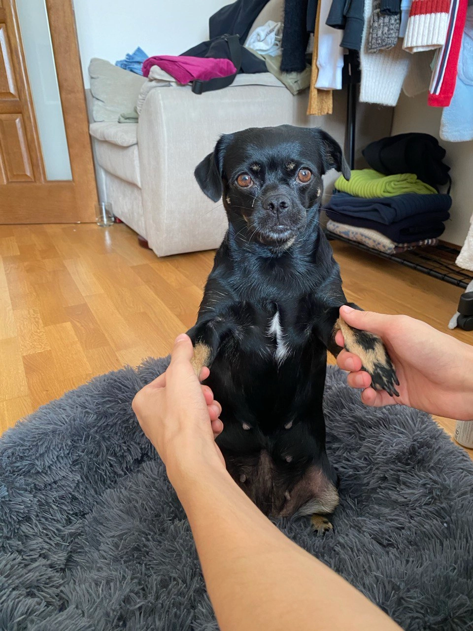 Knopa - Höfatsstraße, München