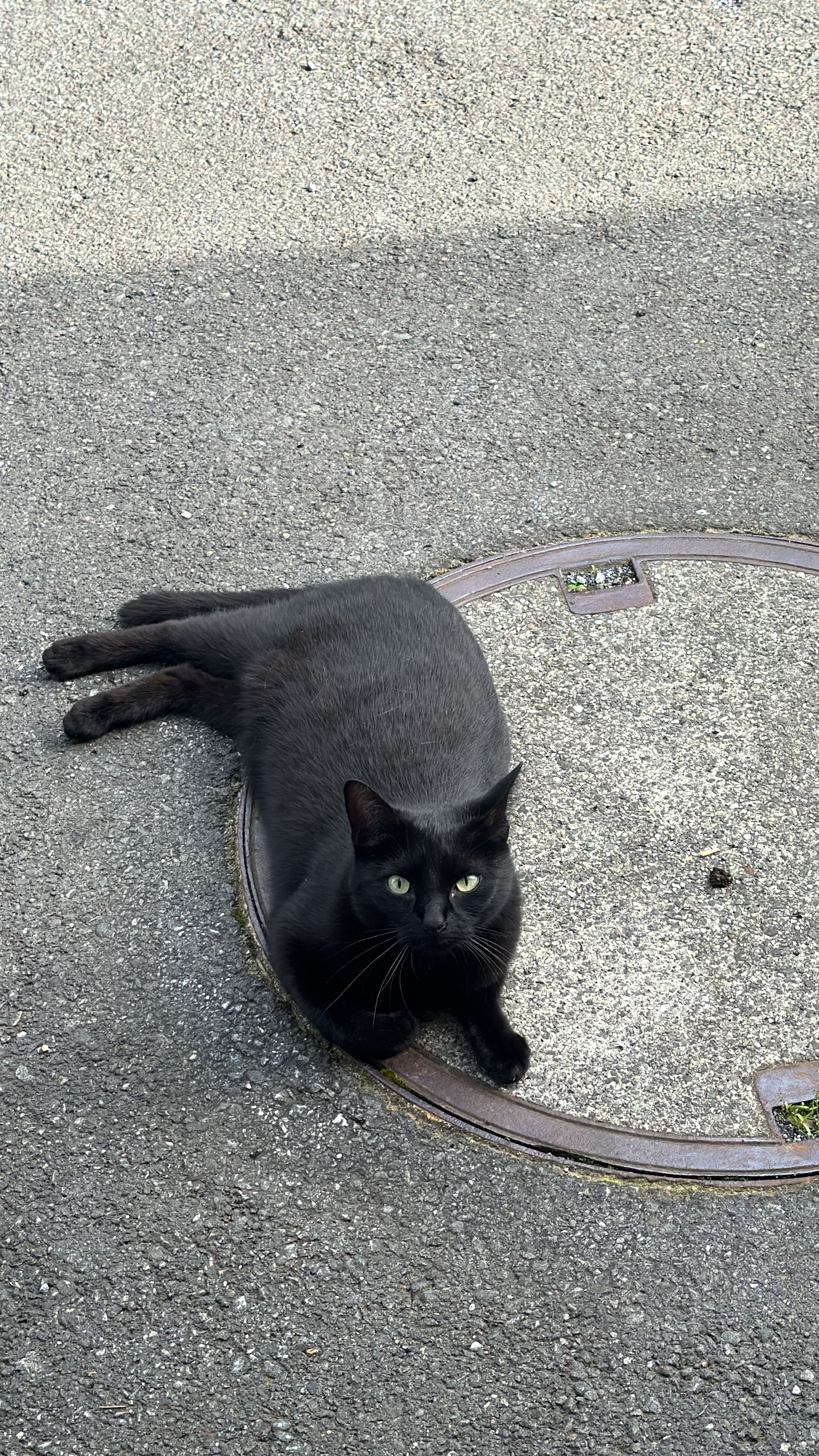 Millie - Flurweg 20, Buchs