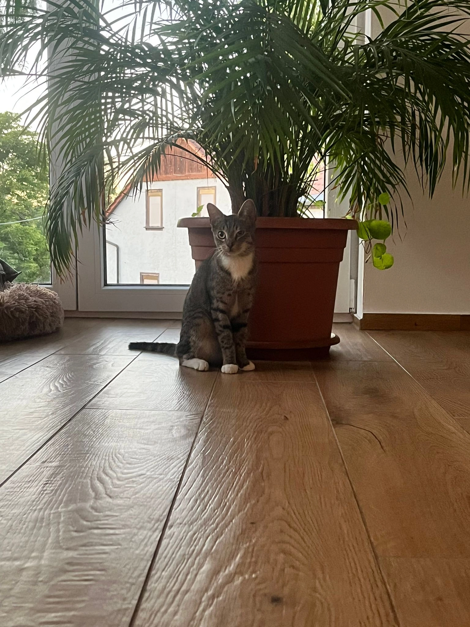 Suri - Am Berg, Alkersleben