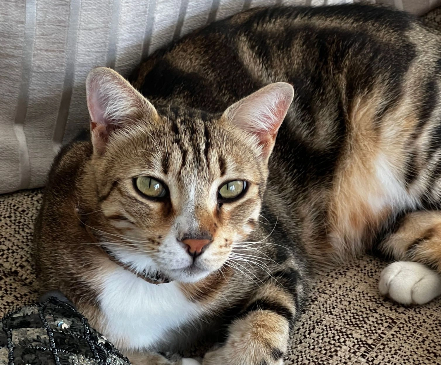 Charlie - Bude Square, Seaham