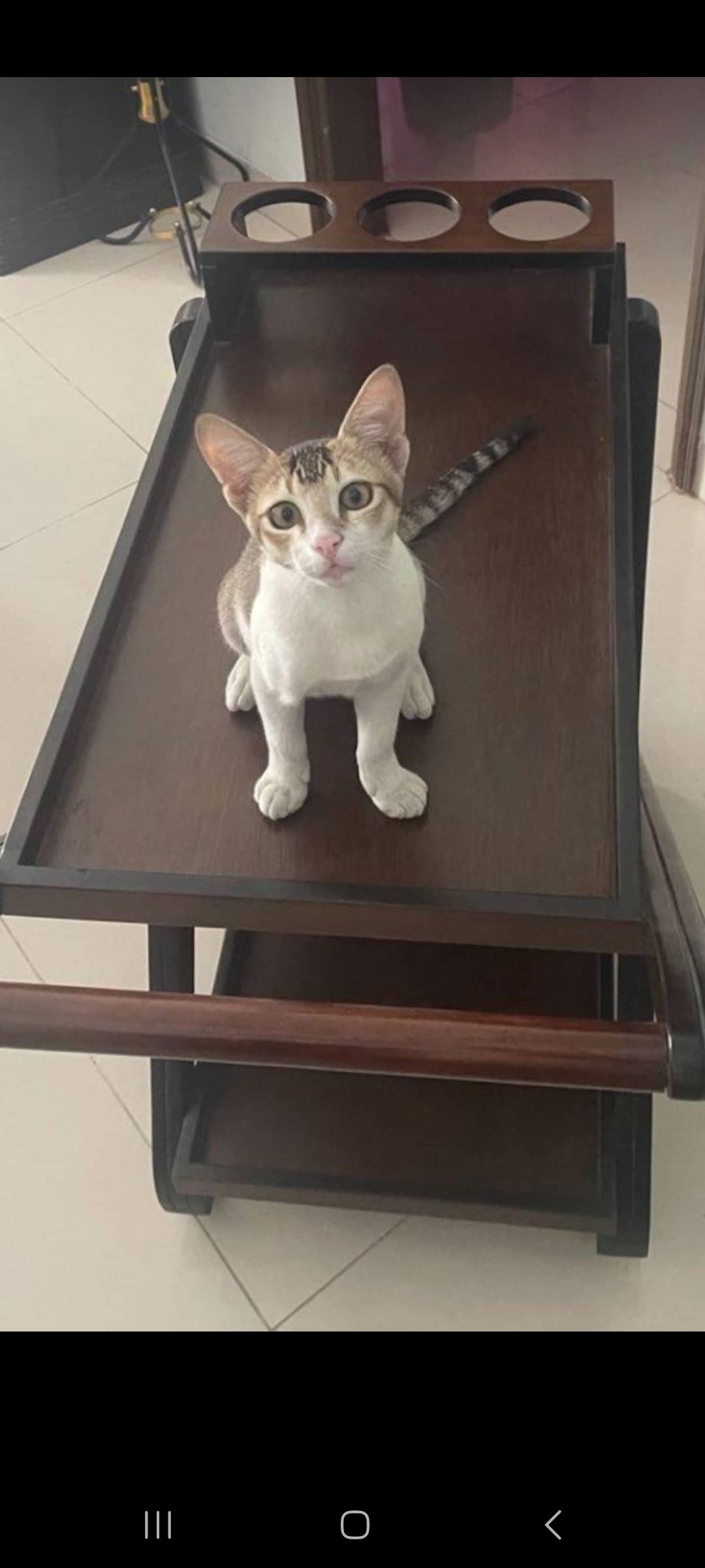 Lucy  - Panchlaish Thana, Chittagong