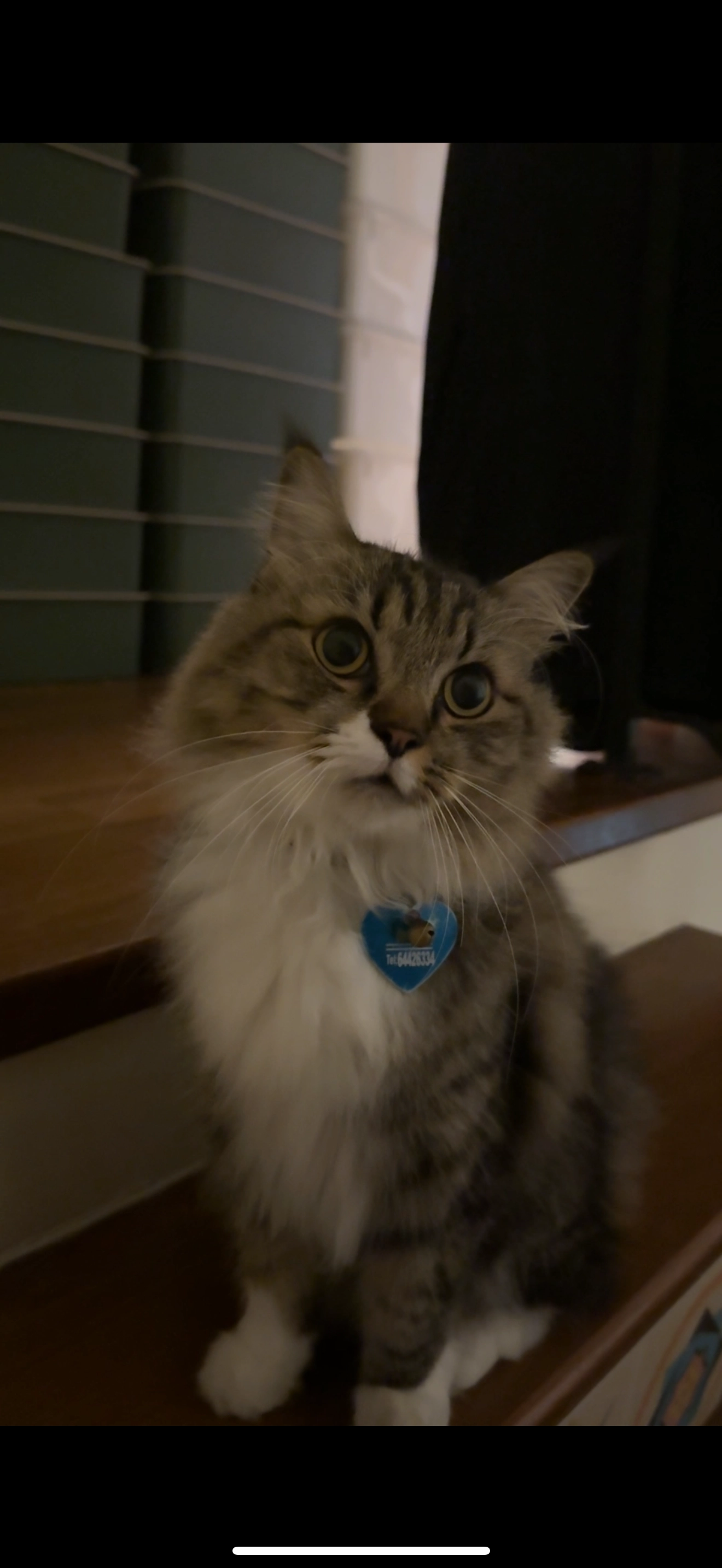 Cookie - 162 Bedok South Road, Singapore