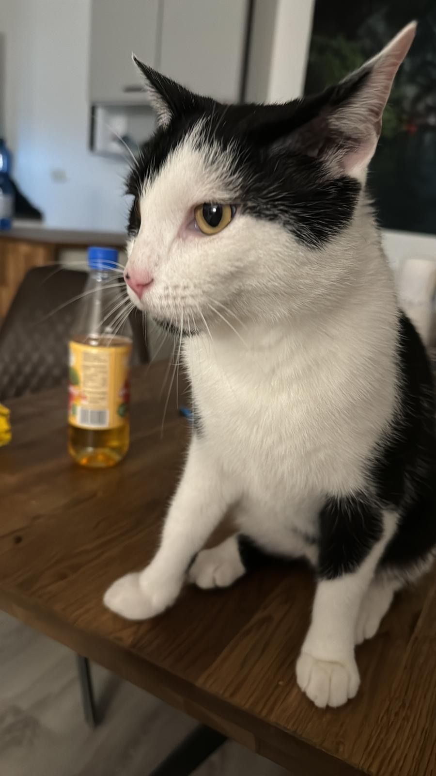 Pete - Vorstadtstraße, Lohr am Main