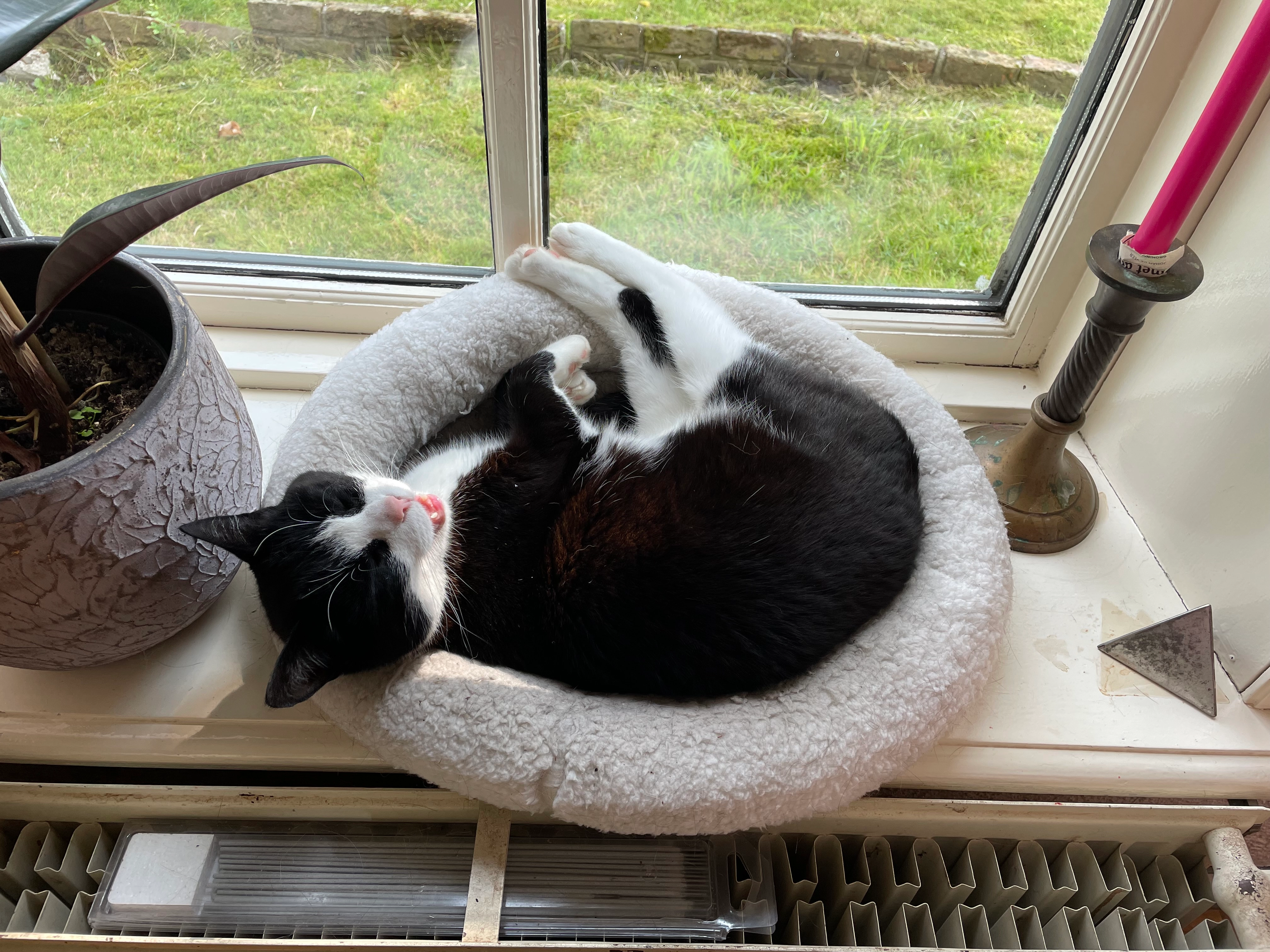 Sofie - Laborweg, Middelstum