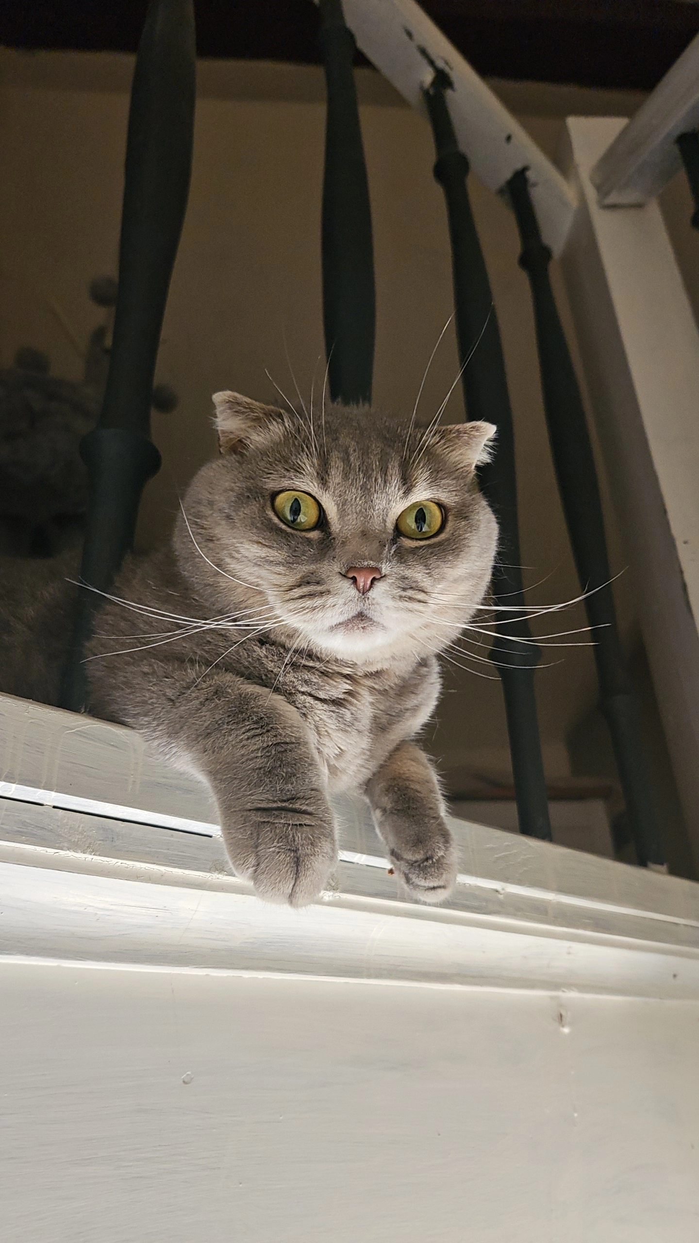 Mimi - Hauptstraße, Bad Dürkheim