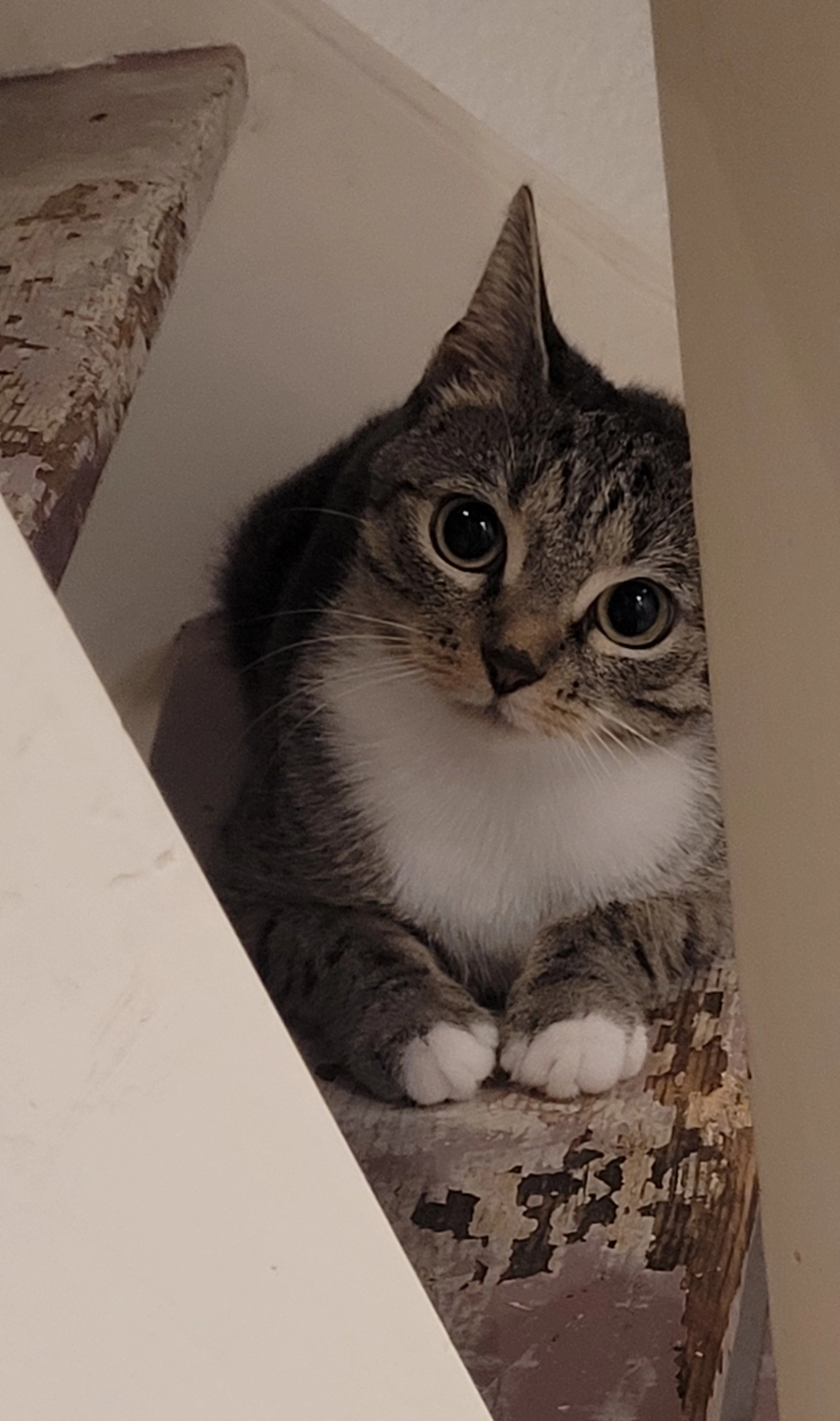 Mila - Neusser Straße, Mönchengladbach