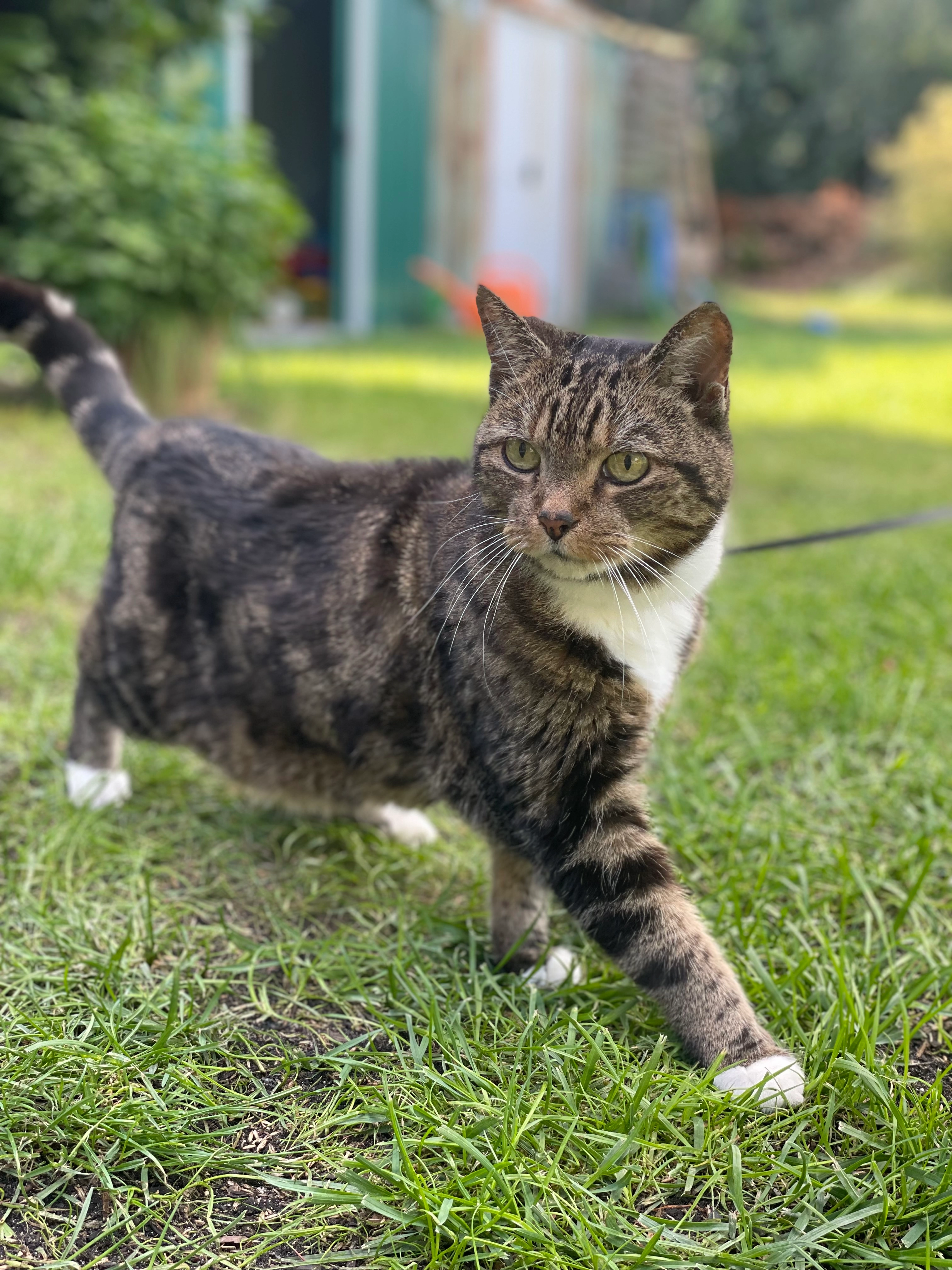 Kazimir - Waldweg 22, Eberswalde
