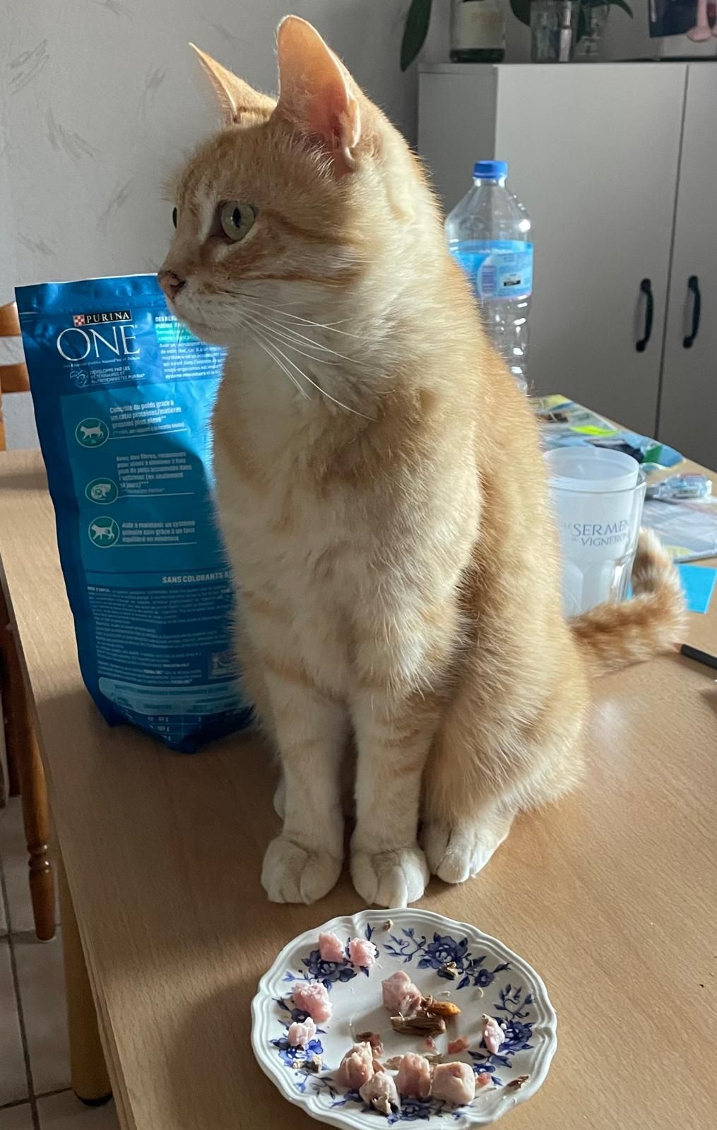 Isidore - La Sambinerie, Romanèche-Thorins