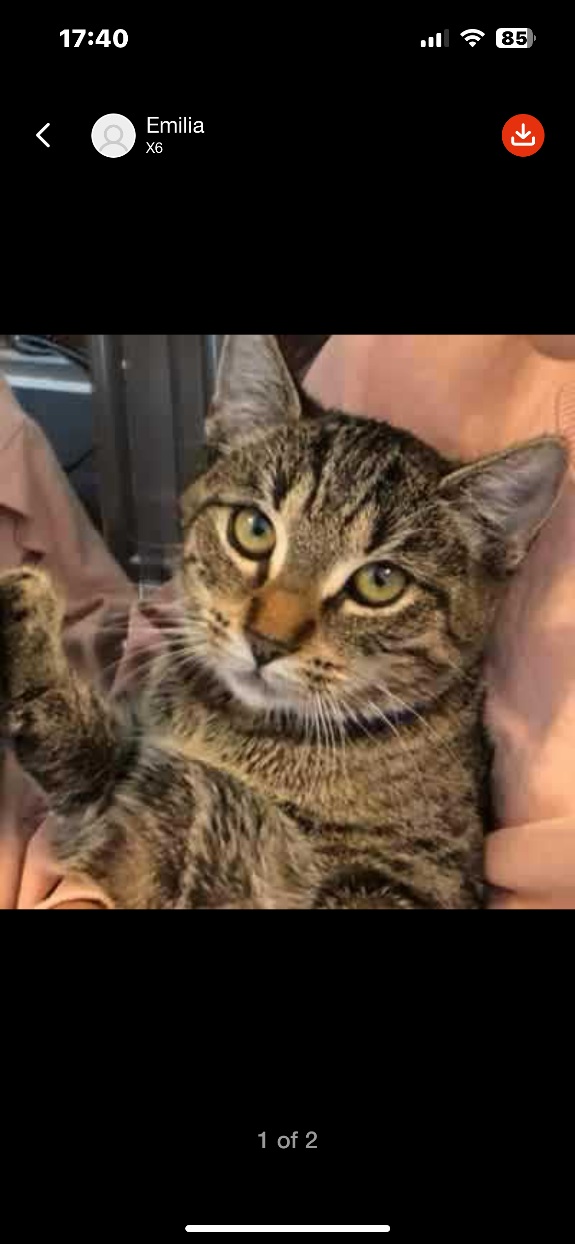 Mila - Hoffschlägerweg, Coesfeld