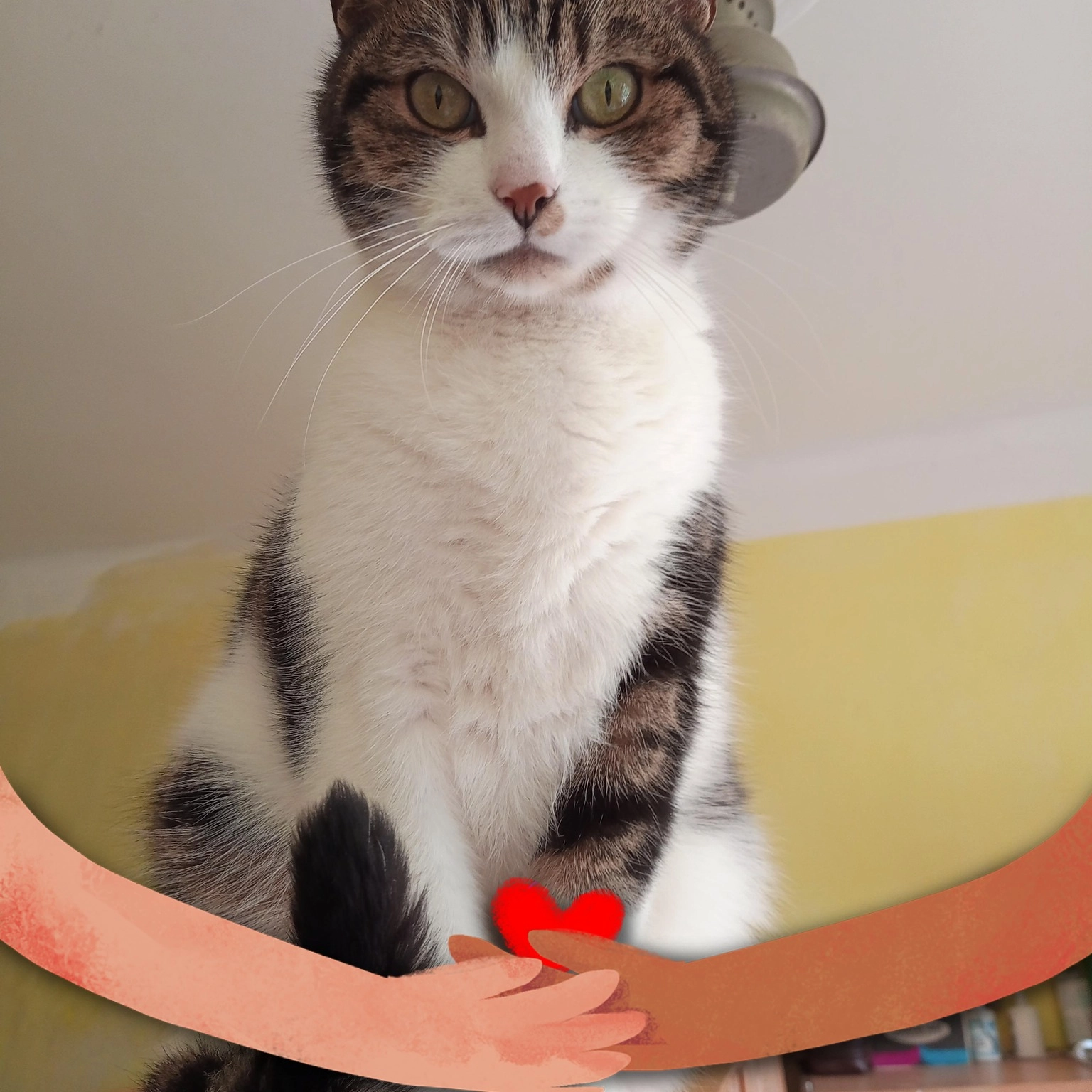 Juluś - Stefana Drzewieckiego, Warsaw