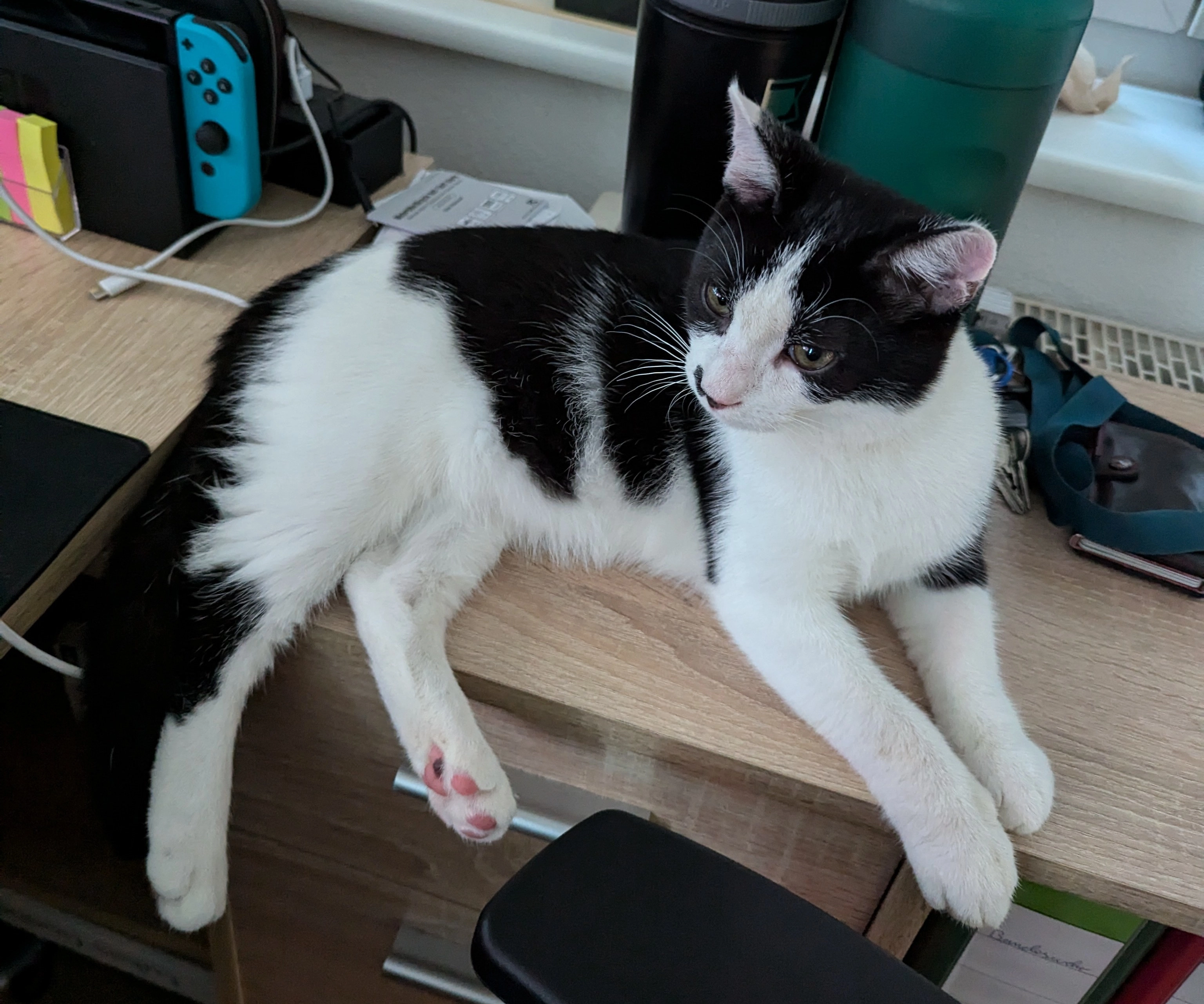 Lümmel - Tornaer Straße 55, Dresden