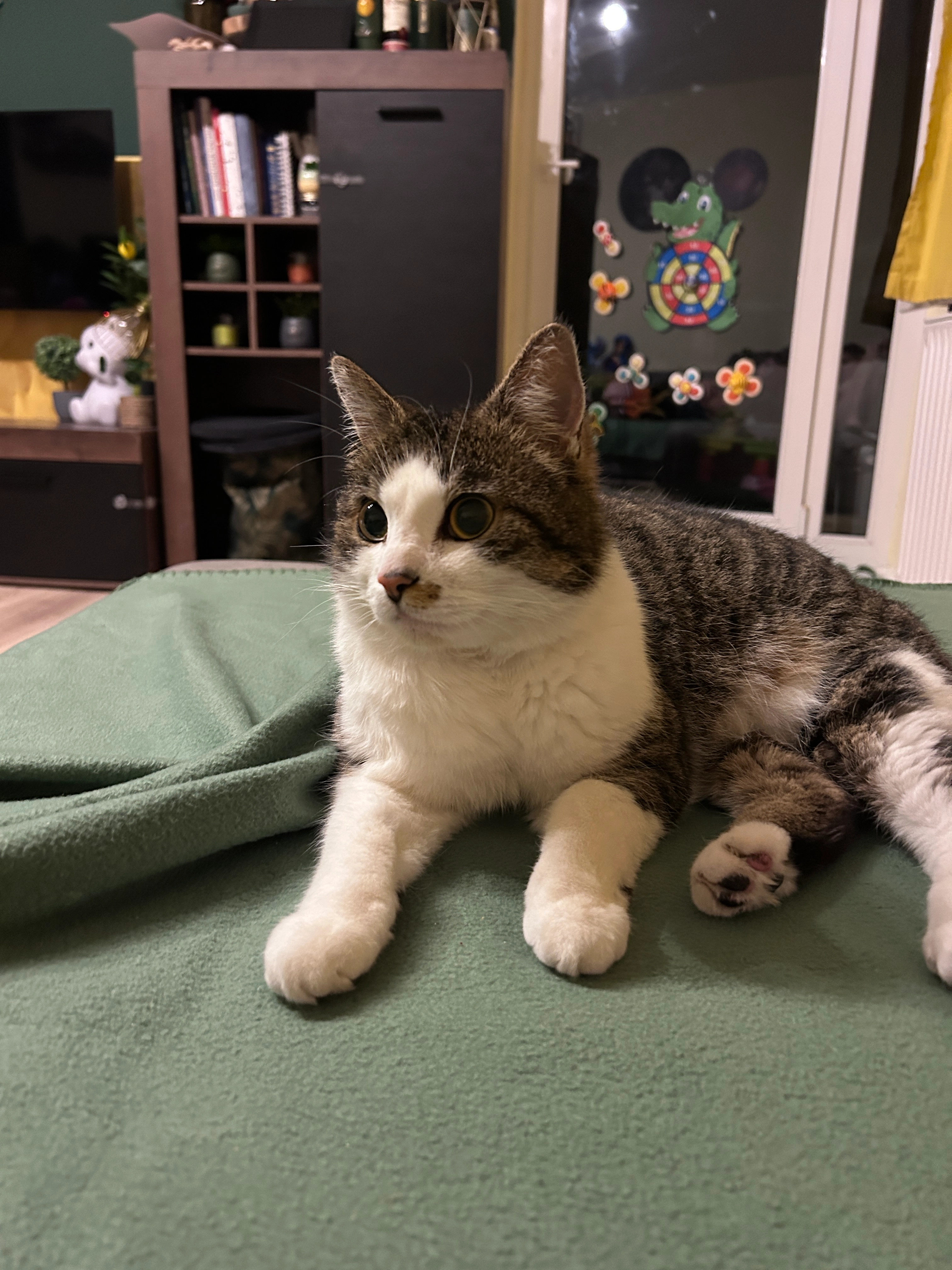 Chloe - Bodeweg, Bielefeld