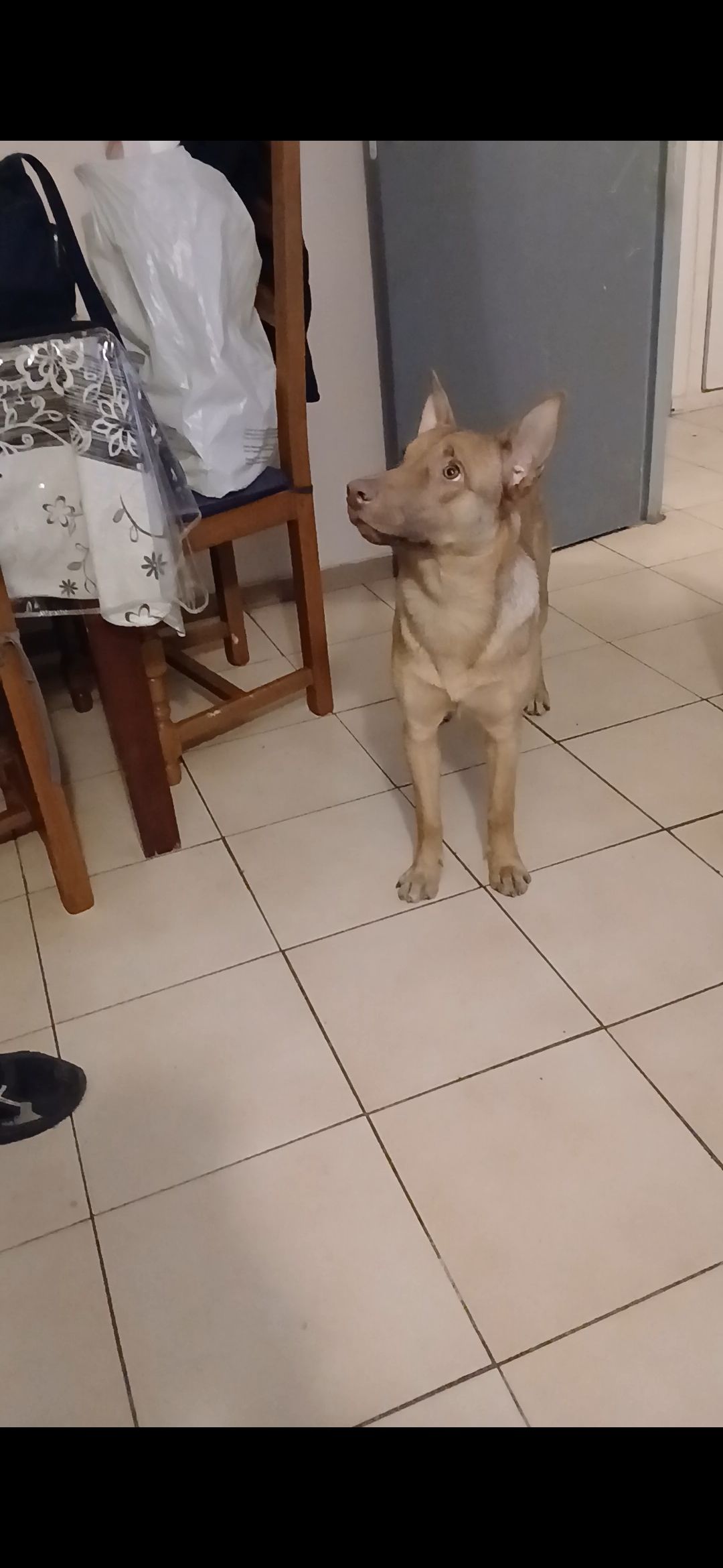 Aka - 95200, Sarcelles