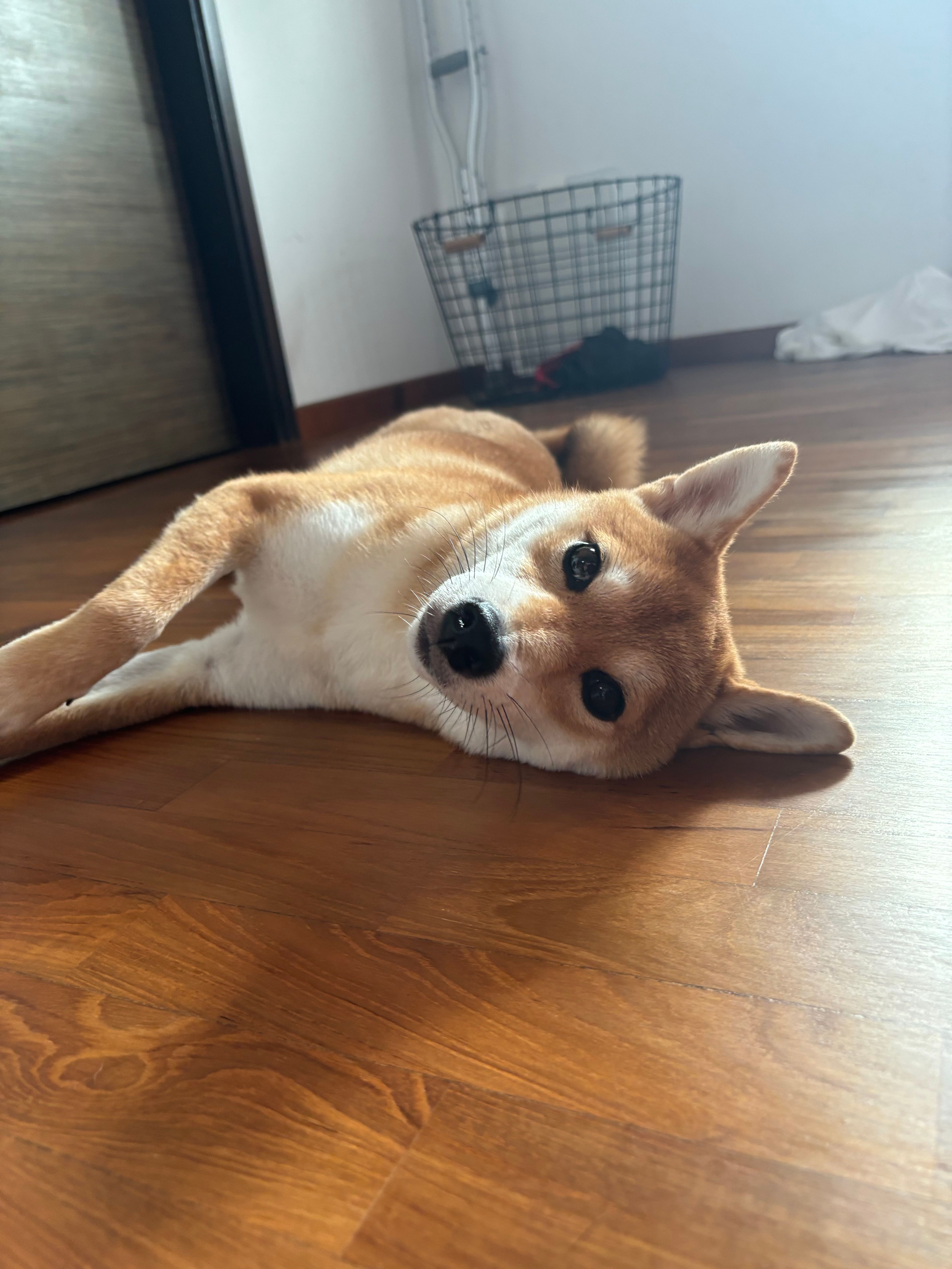 Yuna - Lentor Lane, Singapore